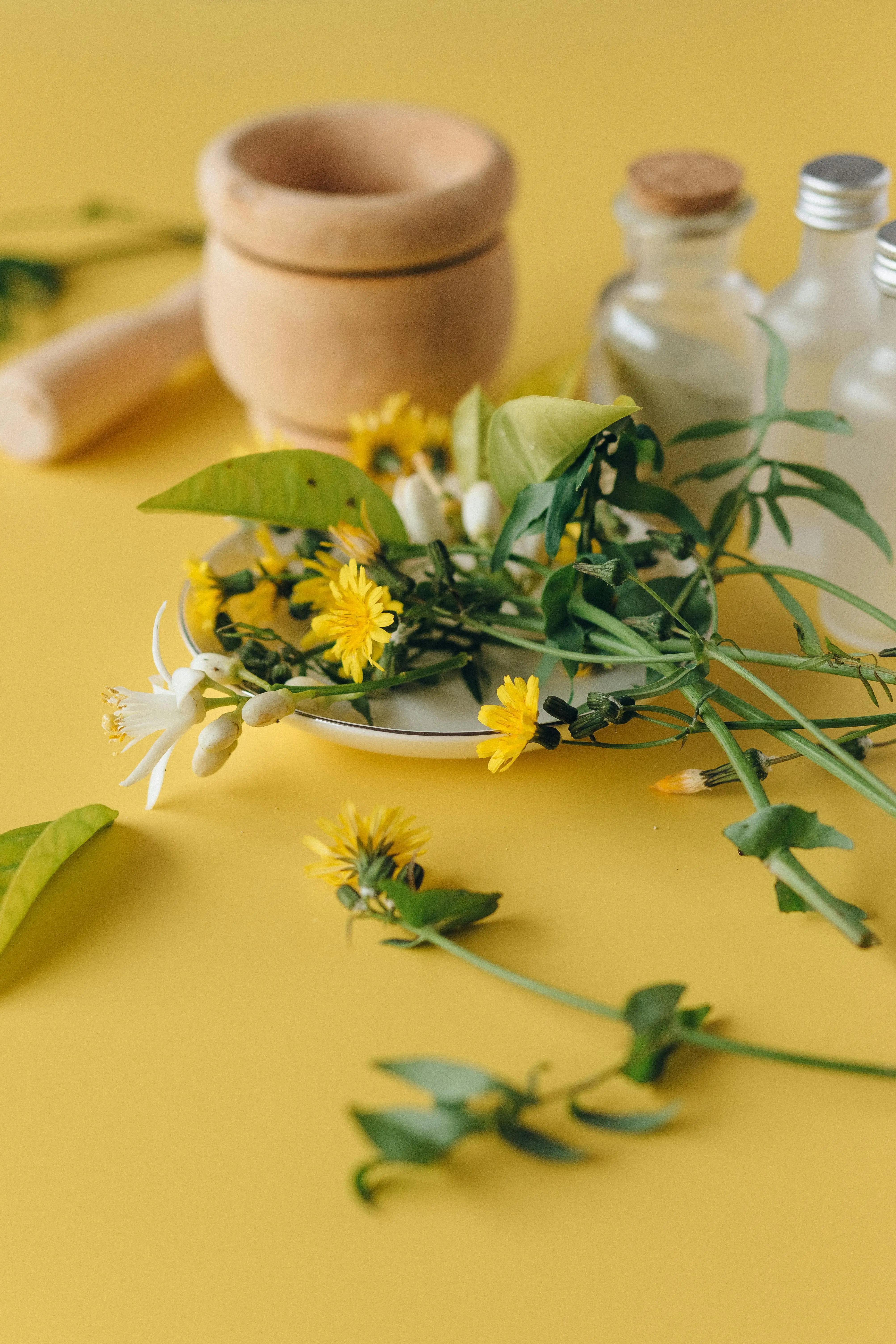 Menelusuri Jejak Penyembuhan: Tanaman Obat dalam Tradisi Ayurveda India