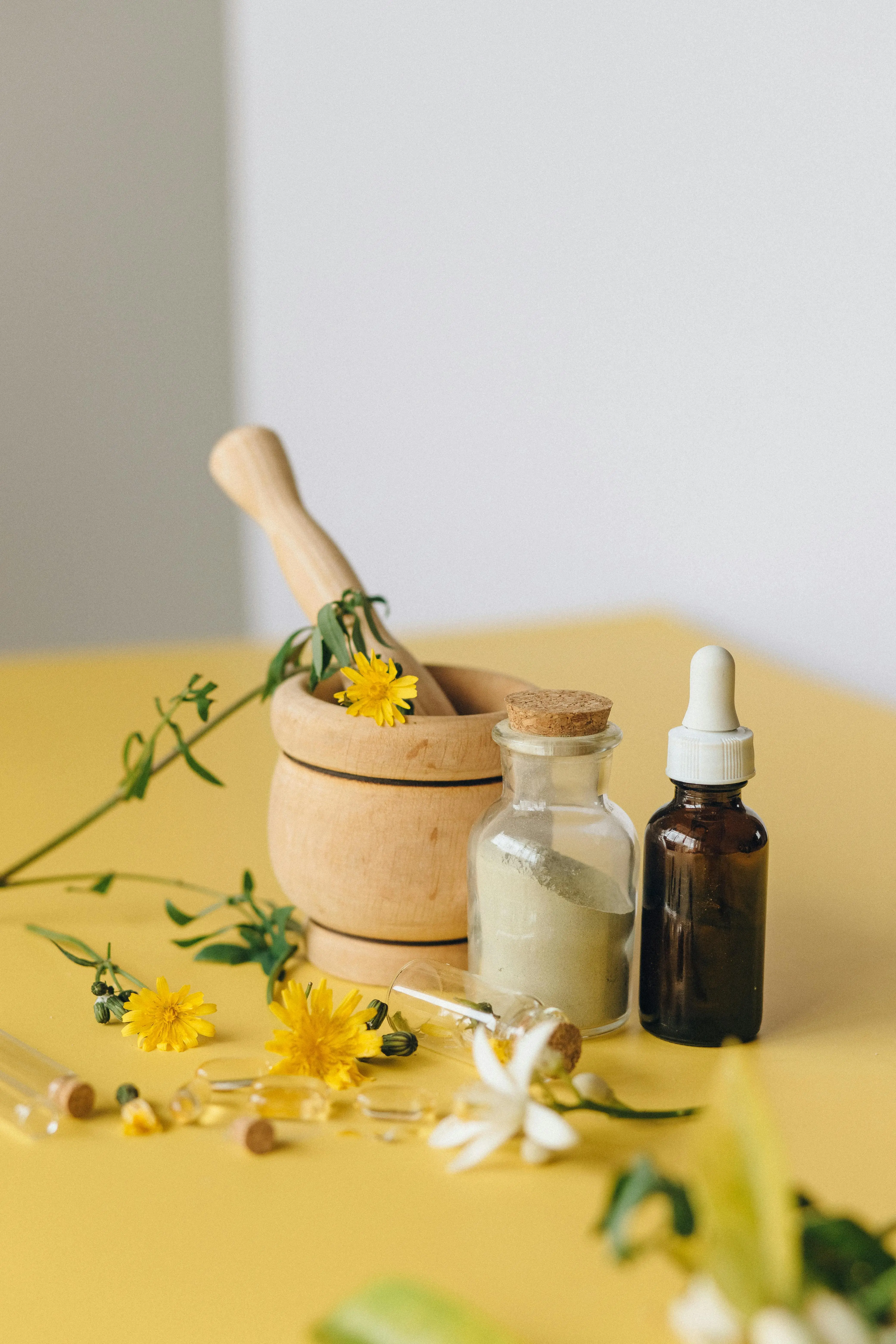 Jejak Ribuan Tahun: Evolusi Herbal dalam Tradisi Pengobatan Tiongkok