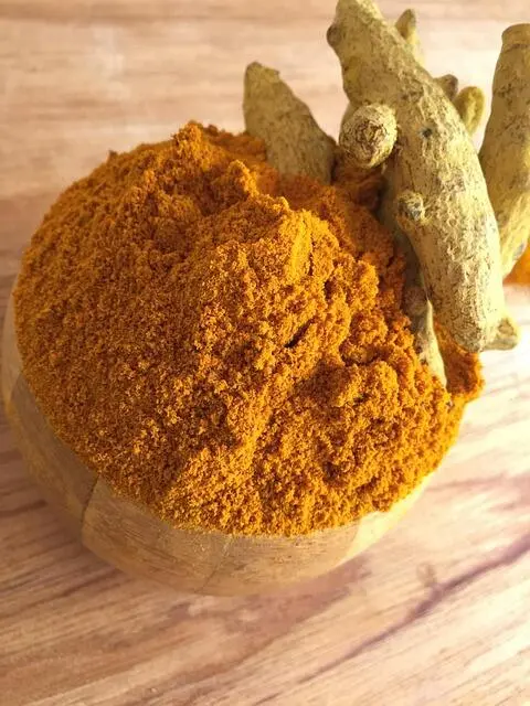 Memaksimalkan Potensi Tanaman Obat: Panduan Lengkap Budidaya Temulawak Skala Massa