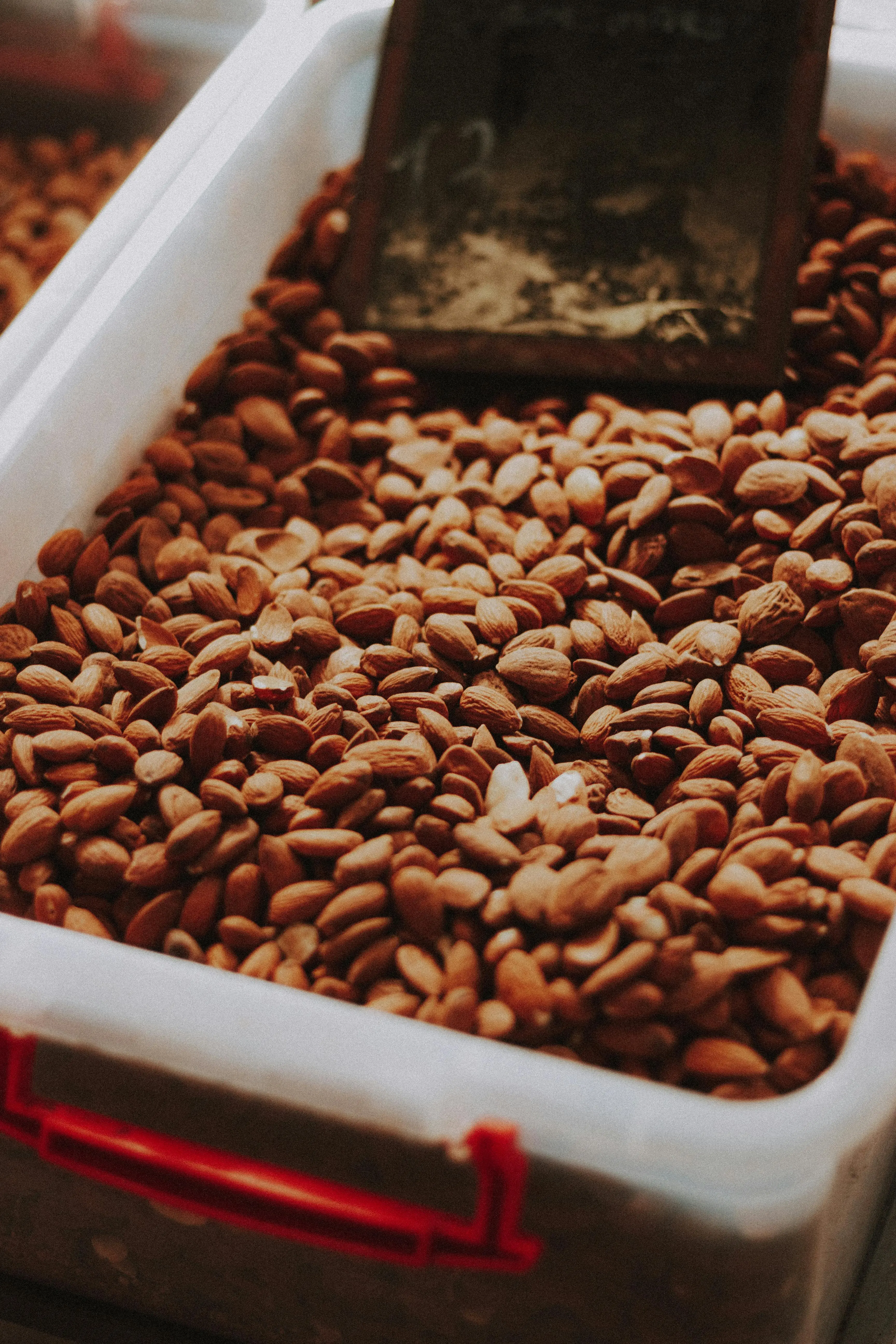Mengapa Almond Tak Tergantikan dalam Hidangan Penutup? Ini Penjelasannya