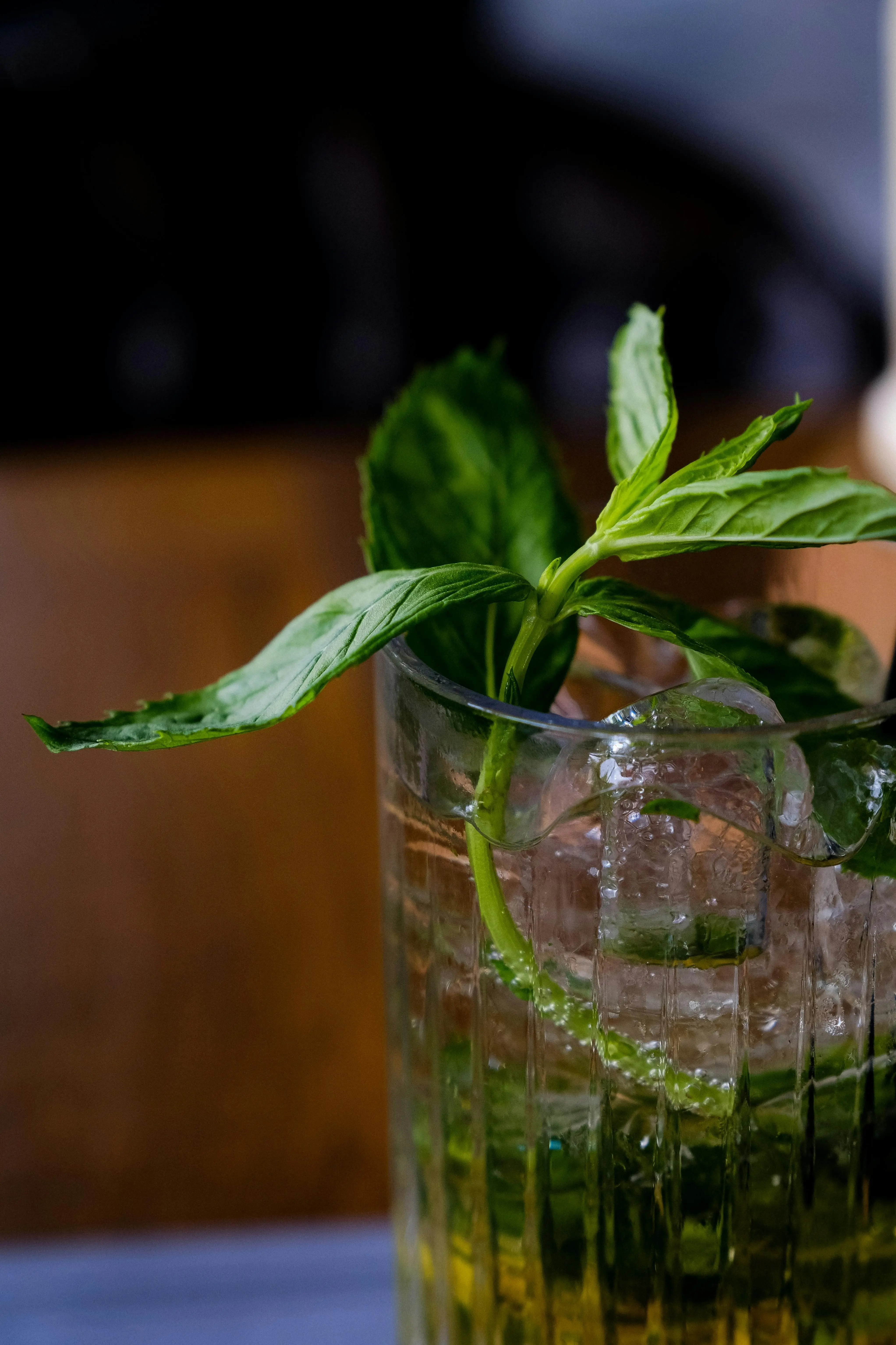 Bukan Sekadar Aroma, Inilah Keajaiban Daun Mint untuk Sembuhkan Sakit Kepala Tanpa Obat Kimia