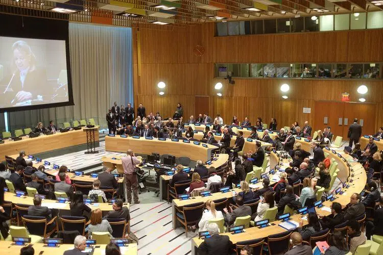 Mengenal Fungsi, Tugas, dan Wewenang Dewan HAM PBB dalam Perlindungan HAM Global