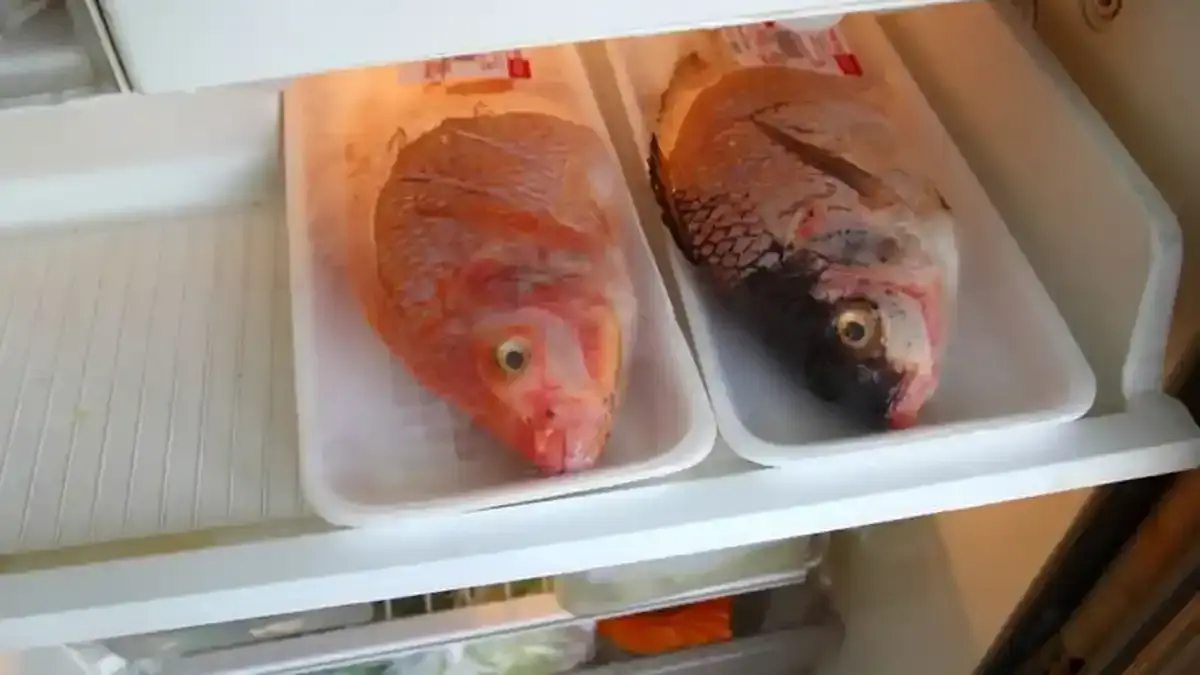 Cara Praktis Memasak Ikan Supaya Daging Lembut dan Aroma Berkurang