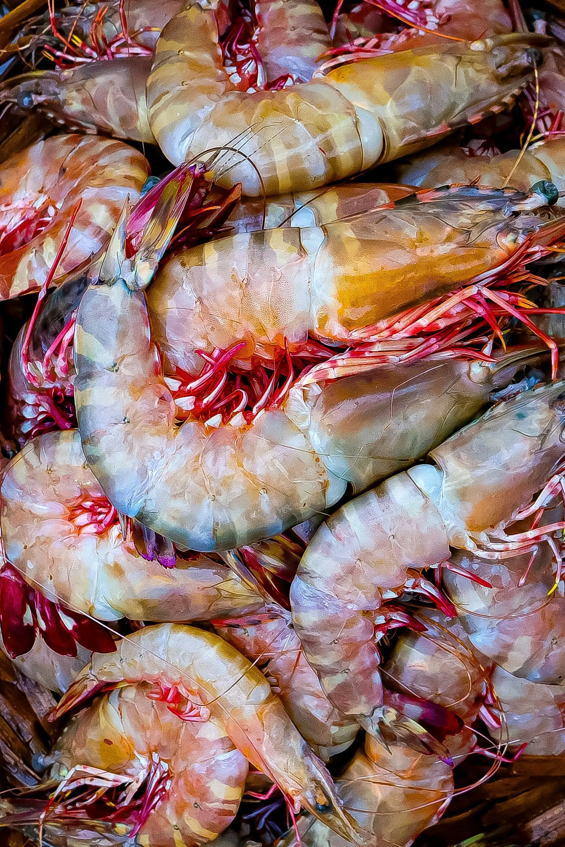 Sering Dituduh Bikin Kolesterol Naik, Ternyata Ini Fakta Udang Menurut Harvard Health