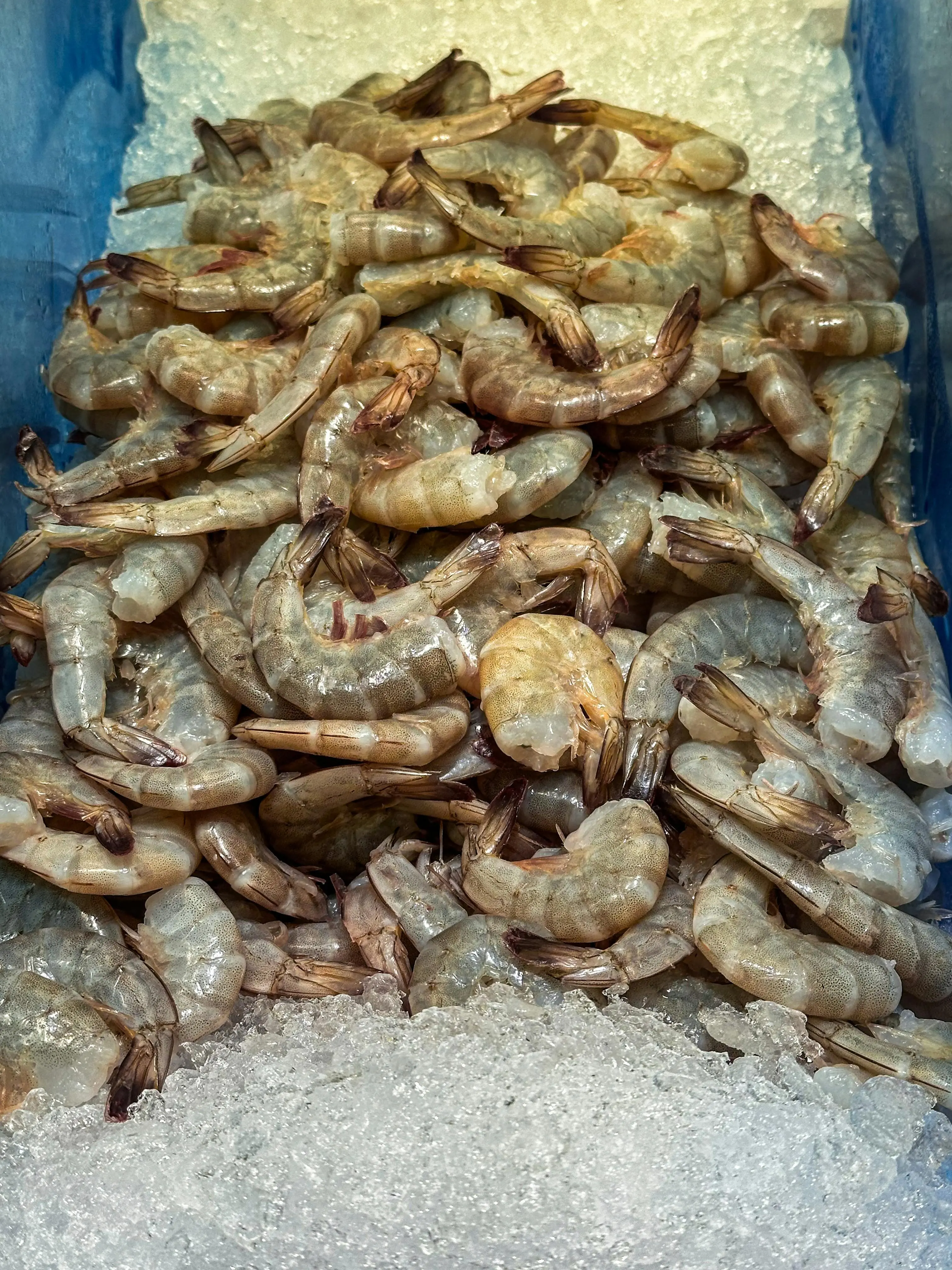 Bukan Sekadar Menu Seafood, Ini Alasan Udang Jadi Simbol Keberuntungan di Berbagai Negara