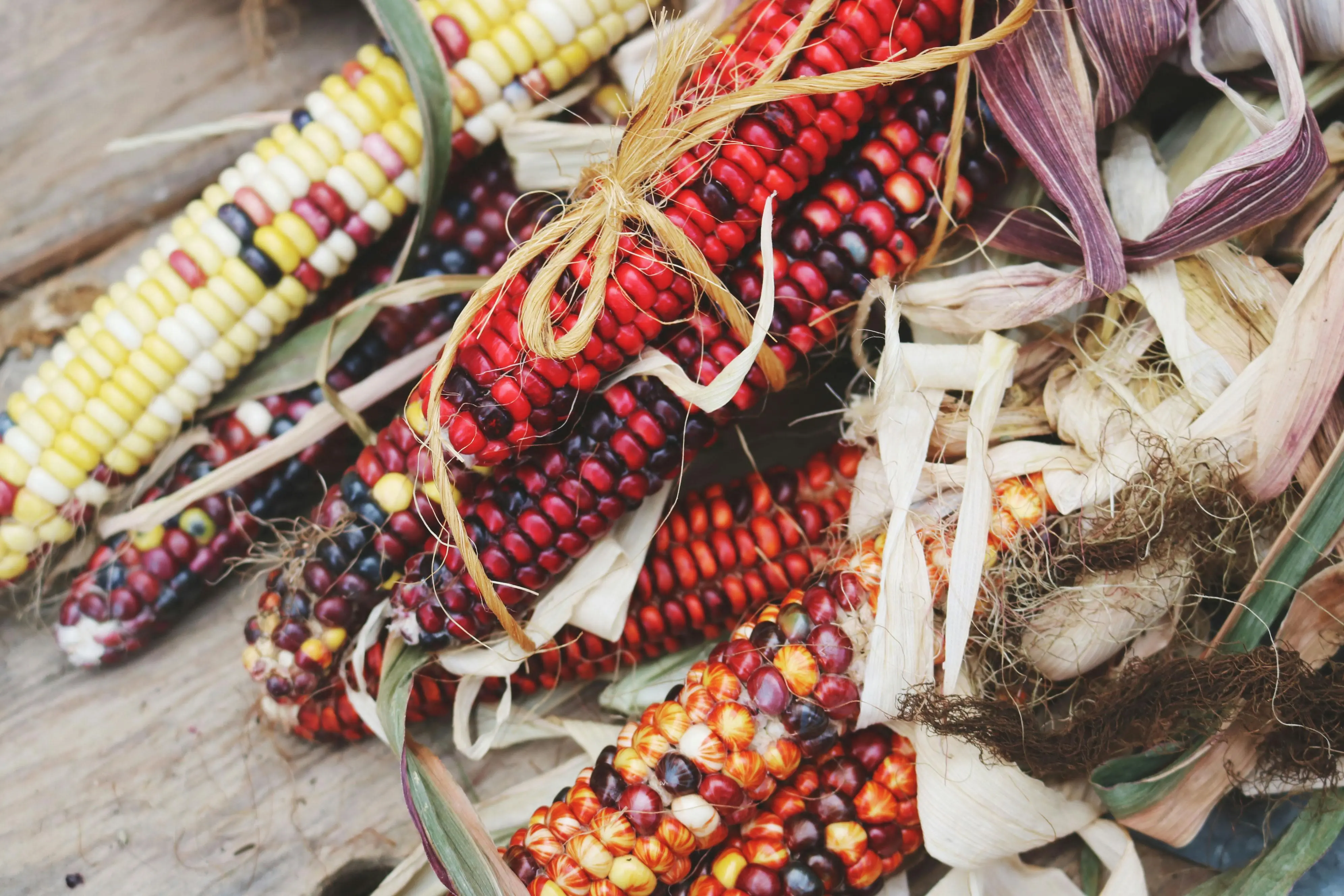 Sering Jadi Perdebatan, WHO Ungkap Fakta Sebenarnya di Balik Jagung Transgenik