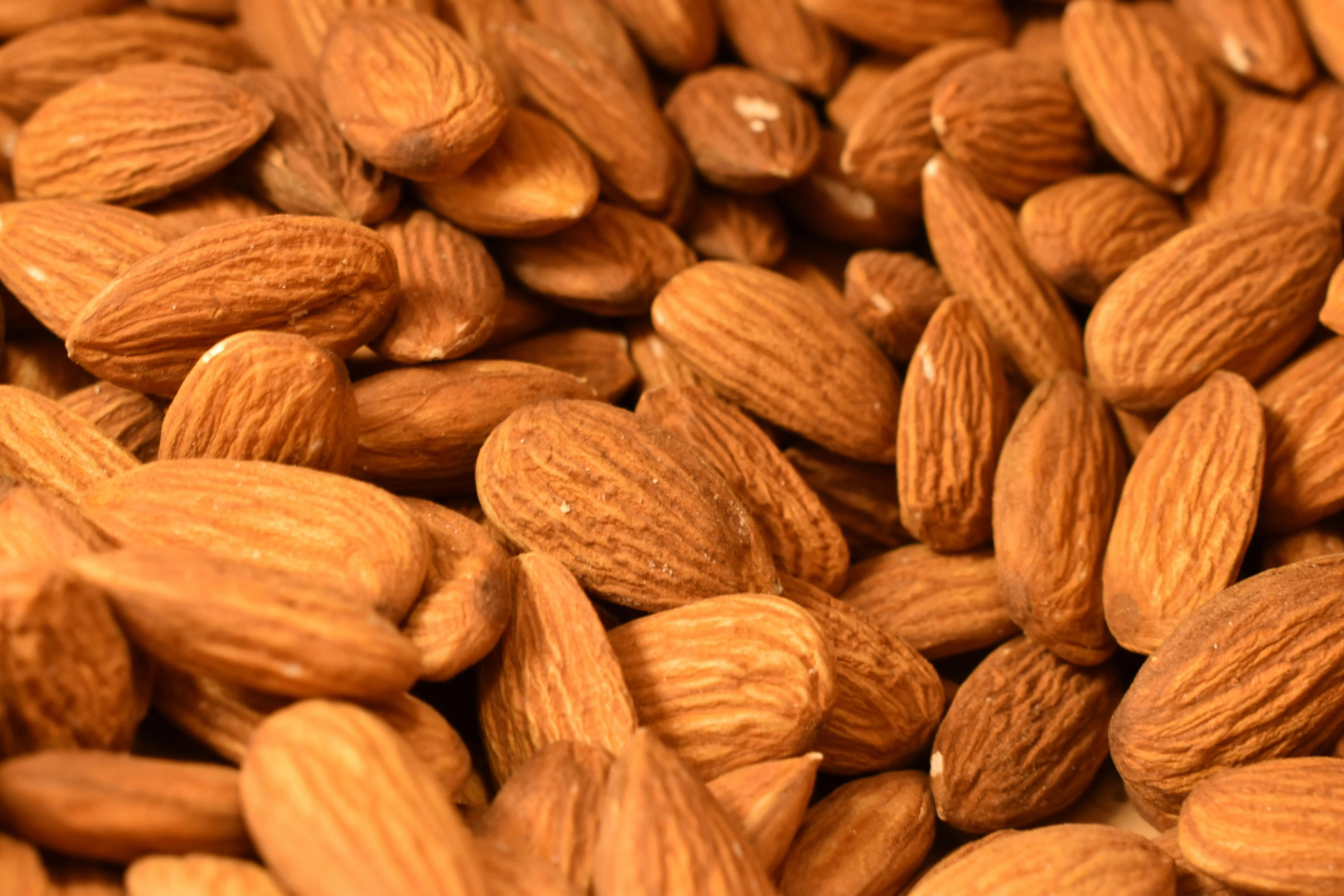 Peran Strategis Kacang Almond dalam Pola Makan Vegetarian dan Vegan