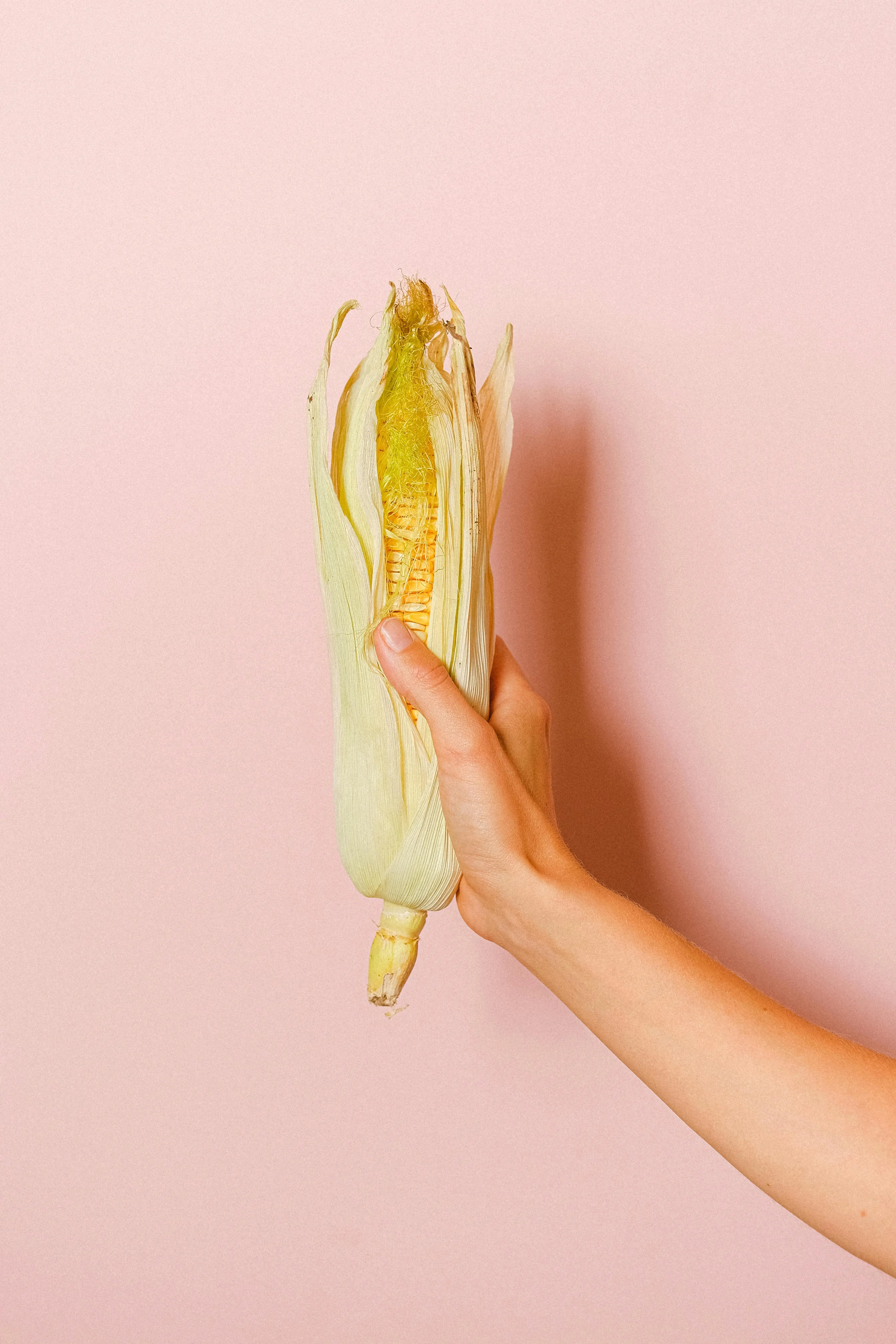 Mengenal Potensi Jagung sebagai Pengganti Gandum: Solusi Diet Gluten-Free yang Padat Nutrisi