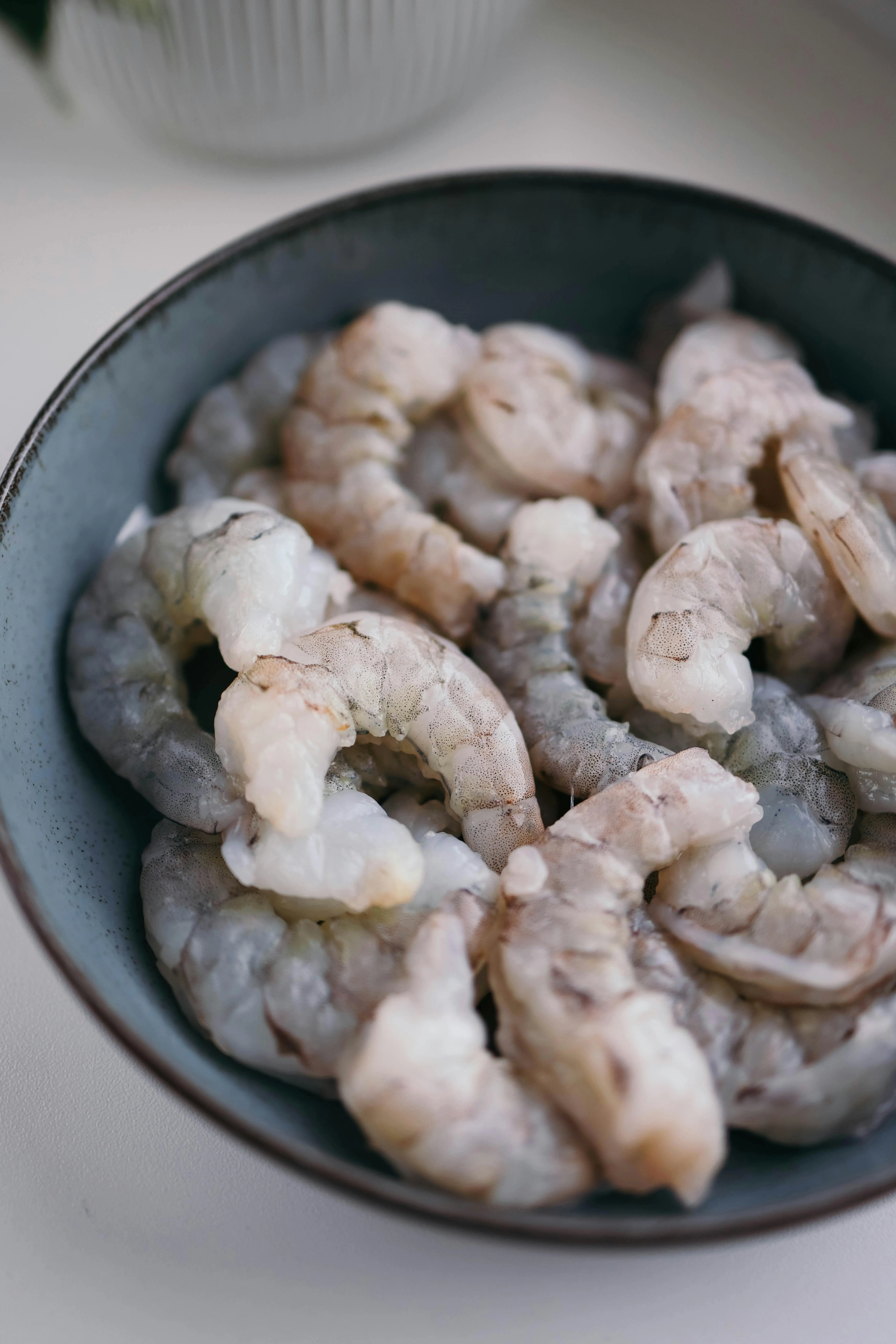 Mengenal Siklus Hidup Udang: Dari Telur hingga Jadi Hidangan Favorit di Meja Makan