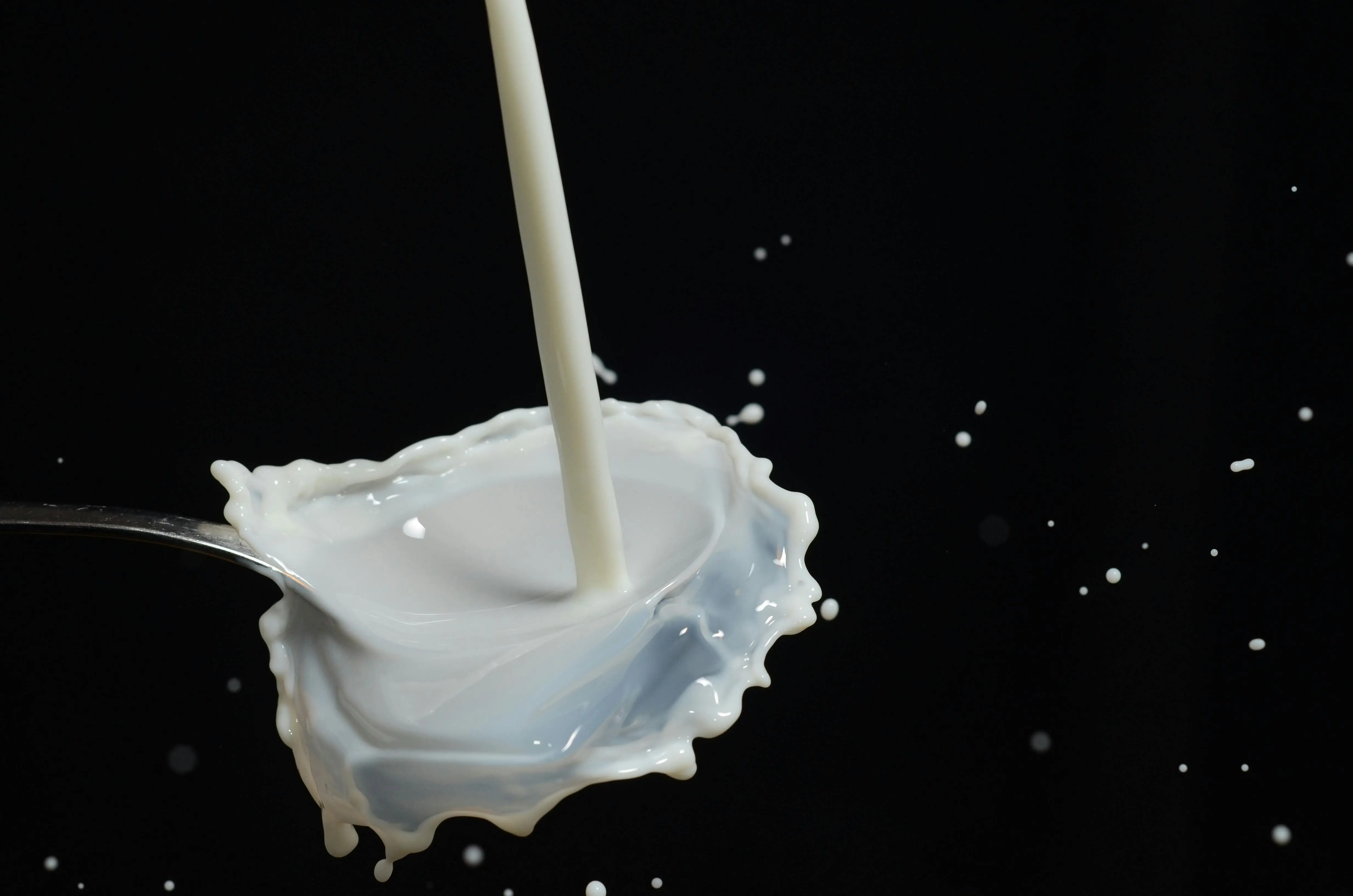 Mengenal Perbedaan Nutrisi Susu Nabati dan Hewani untuk Kesehatan Jantung