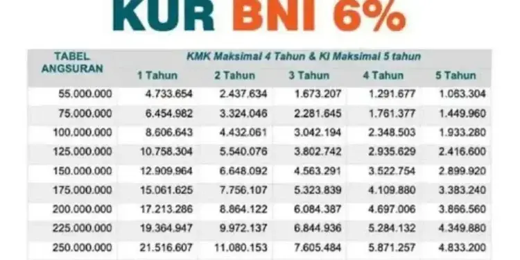 Cek Angsuran KUR BNI Rp50 Juta 2026, Tenor Panjang Cicilan Lebih Ringan
