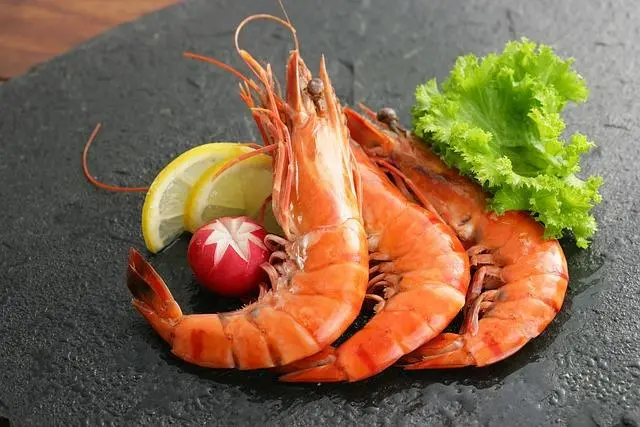 Peran Udang dalam Masakan Barat