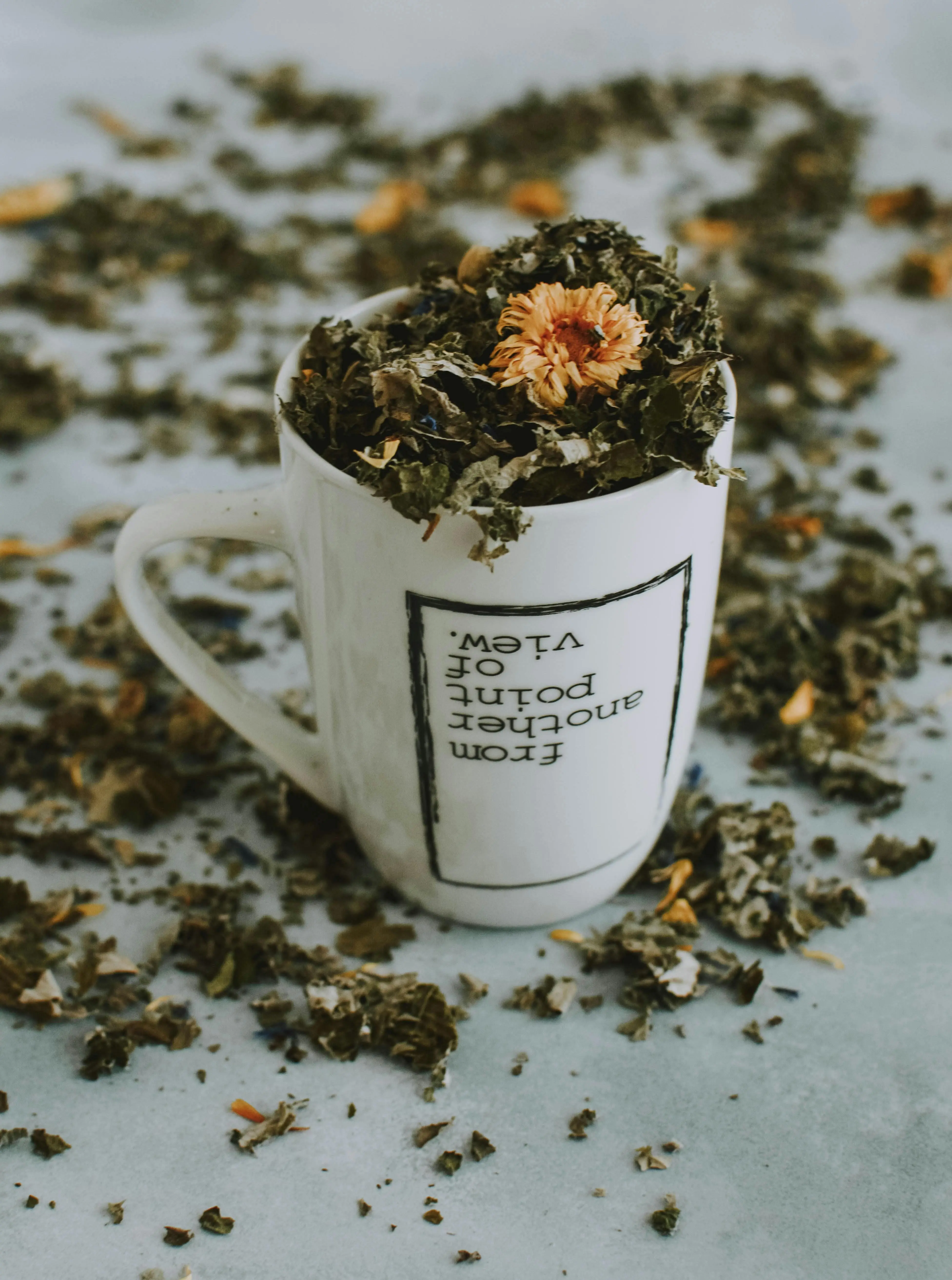 Cara Mengolah Tanaman Obat Jadi Teh Herbal di Rumah, Lebih Sehat dan Hemat!
