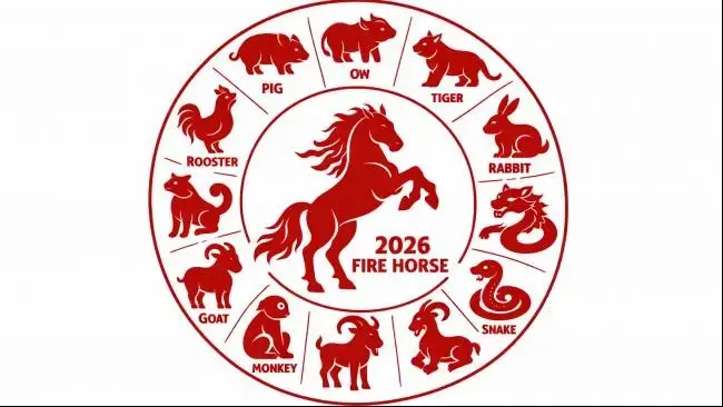 Shio Kuda di Tahun 2026: Peluang Besar, Tantangan, dan Tips Mengelola Keberuntungan
