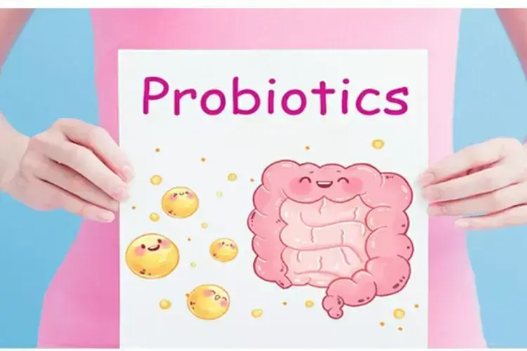 Penting untuk Pencernaan, Ini Peran Probiotik dalam Menjaga Kesehatan Usus