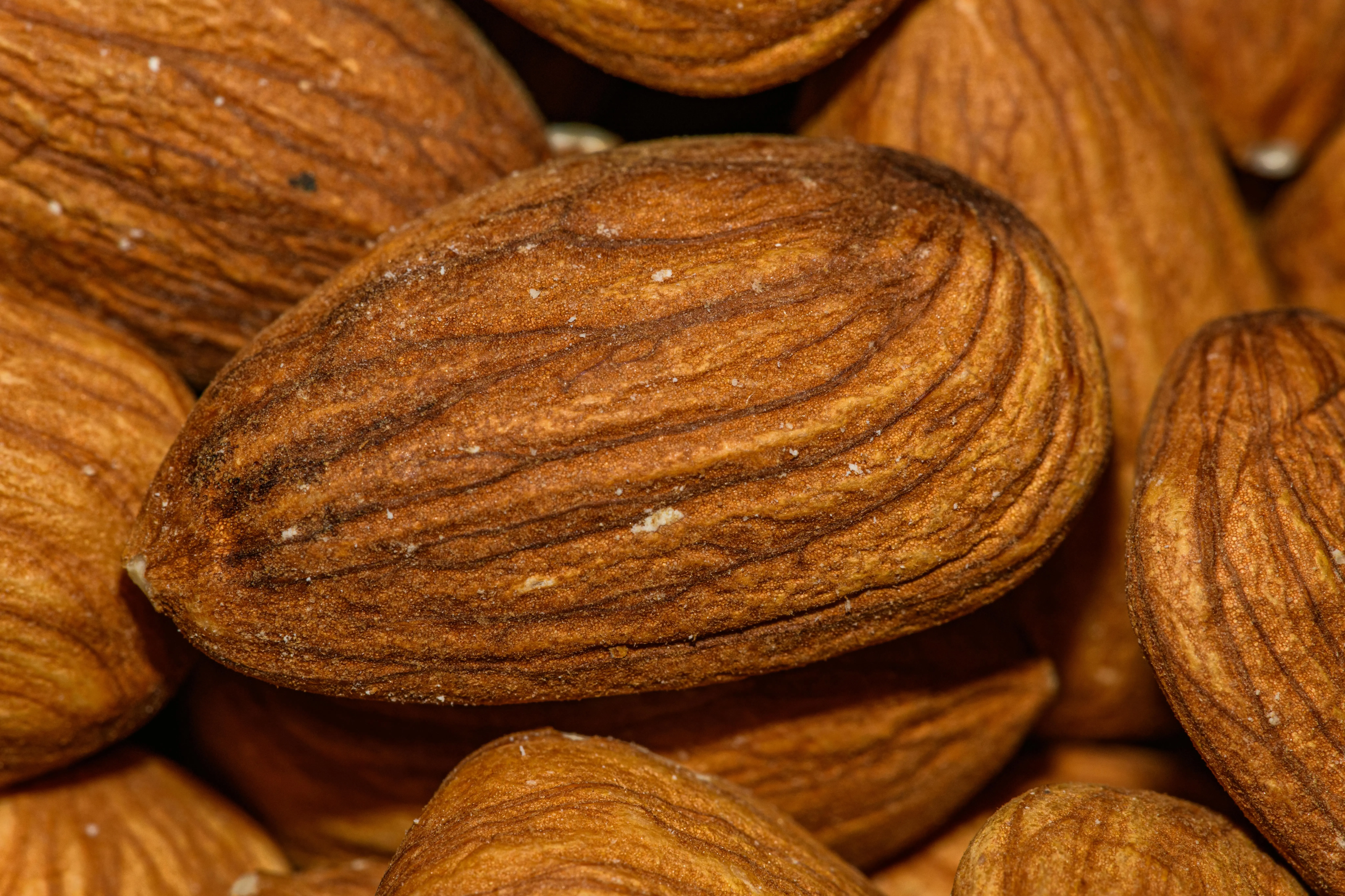Menilik Jejak Almond: Bagaimana Kacang Mediterania Ini Menguasai Pasar Pangan Internasional
