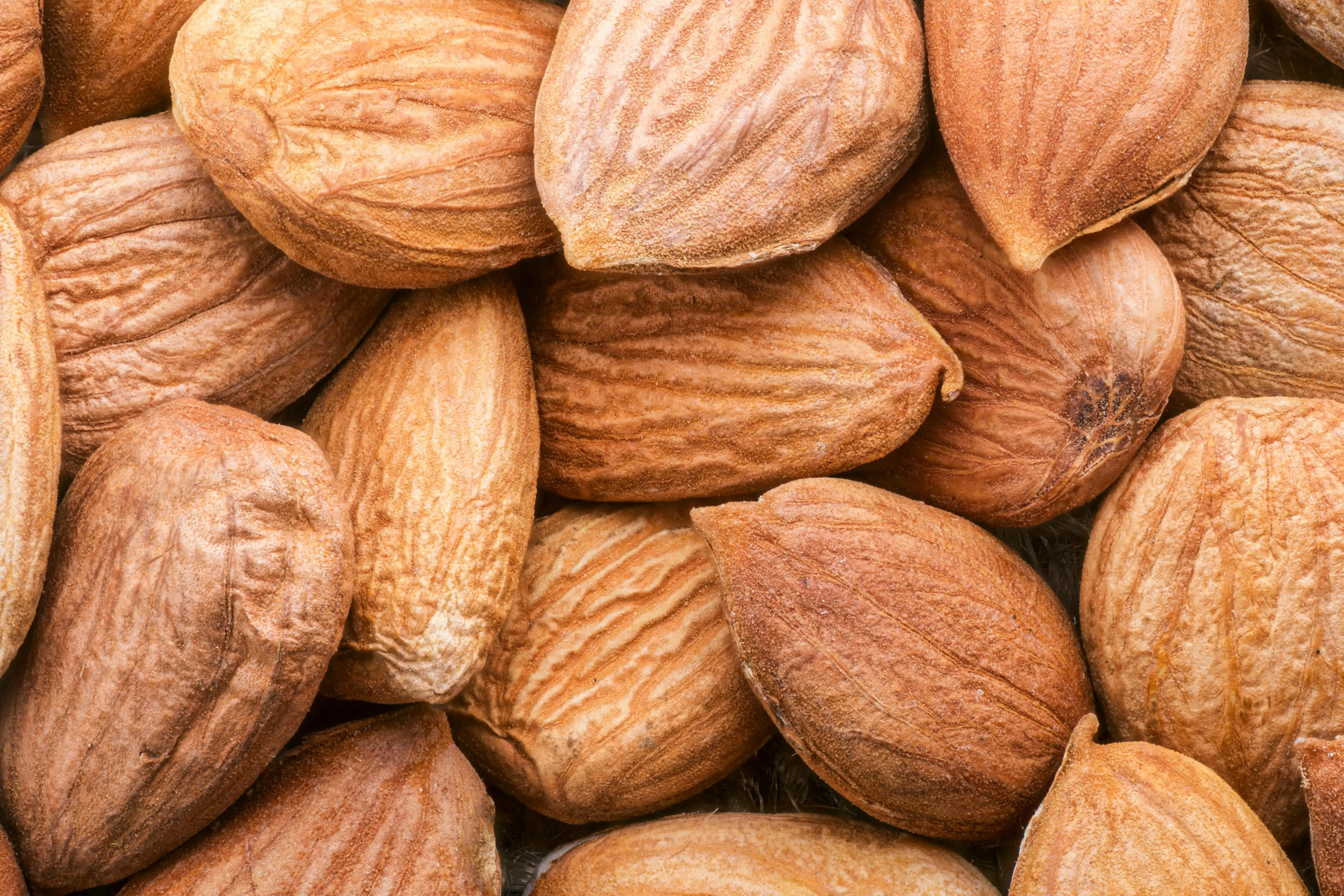 Sering Jadi Perdebatan, Apakah Almond Benar-Benar Termasuk Kacang Pohon? Ini Penjelasan FDA