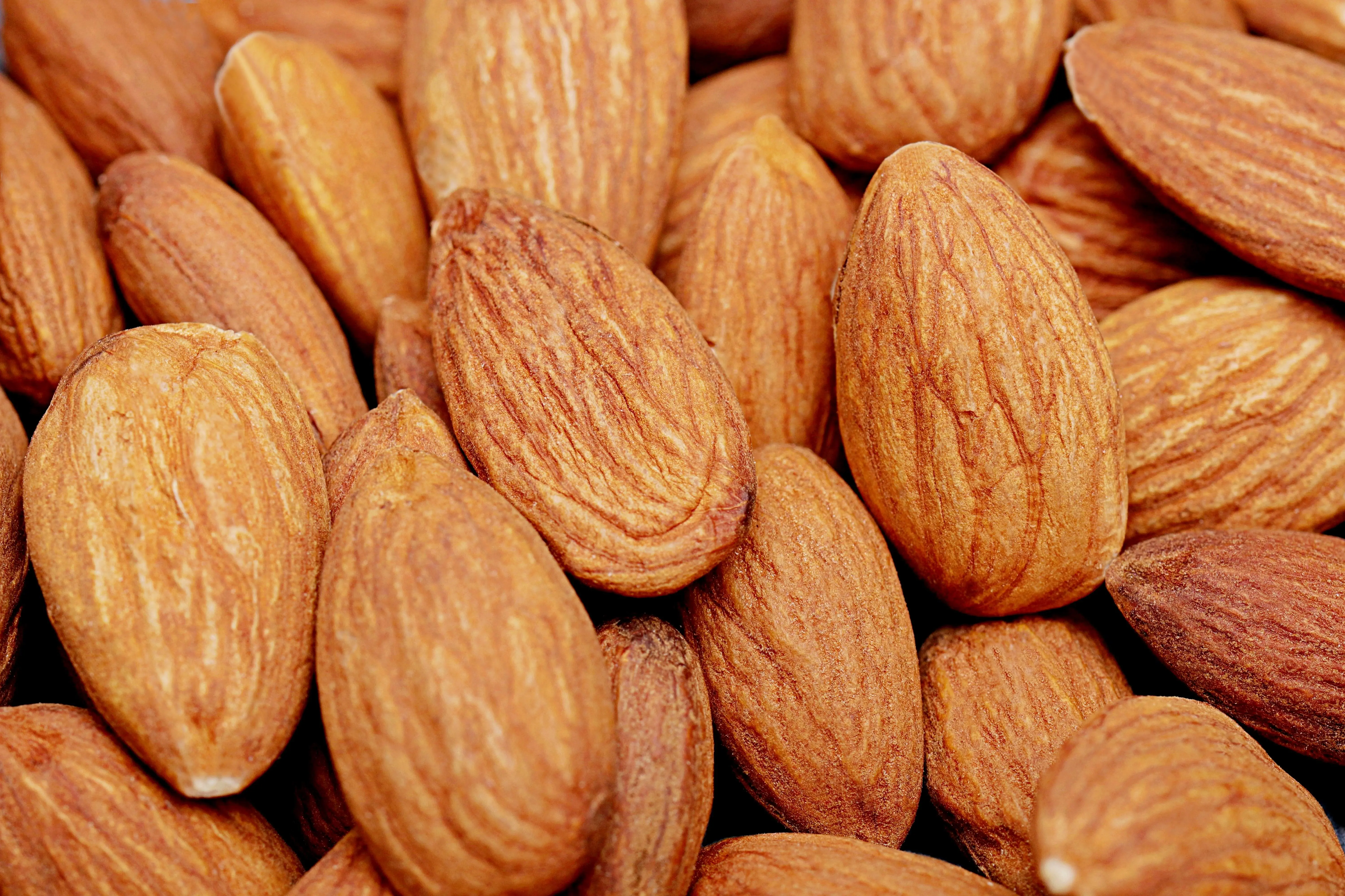 Banyak yang Belum Tahu, Ternyata Begini Rumitnya Proses Pertumbuhan Kacang Almond