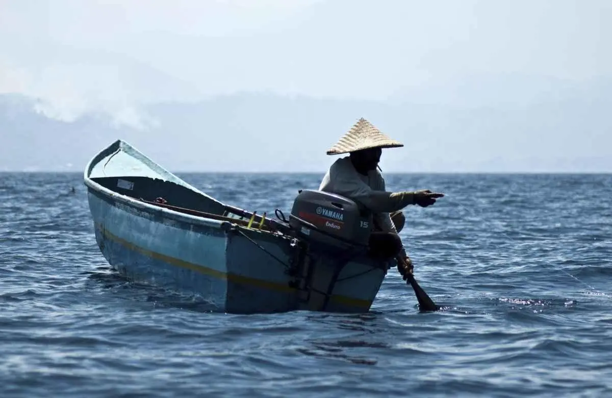 Update Kalender Mancing: Jadwal Arus Terbaik Sepanjang Bulan Januari 2026