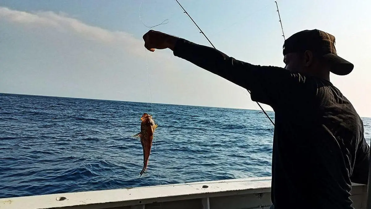 Catat Tanggalnya! Kalender Memancing Januari 2026 dengan Aktivitas Ikan Tertinggi