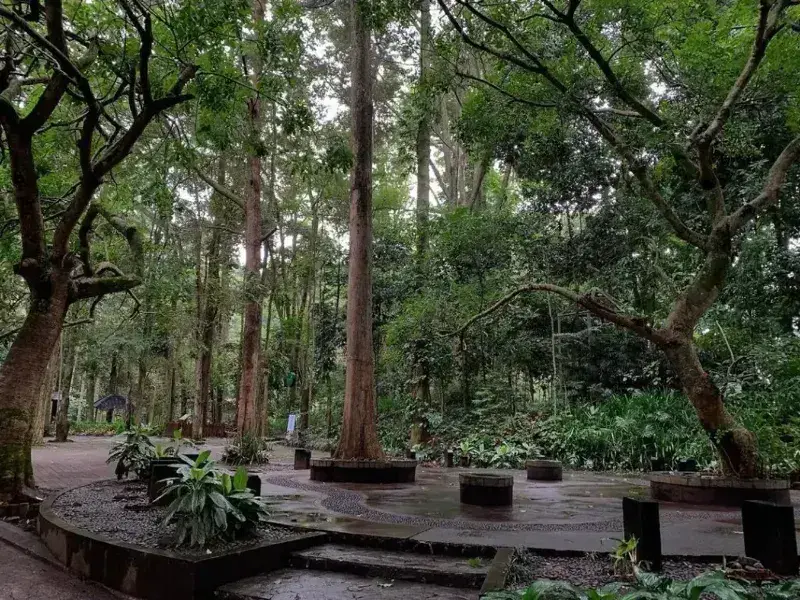 Menatap Gemerlap Bandung: Dago Pakar dan Punclut Jadi Spot Favorit Berburu City Light di Malam Tahun Baru 2026