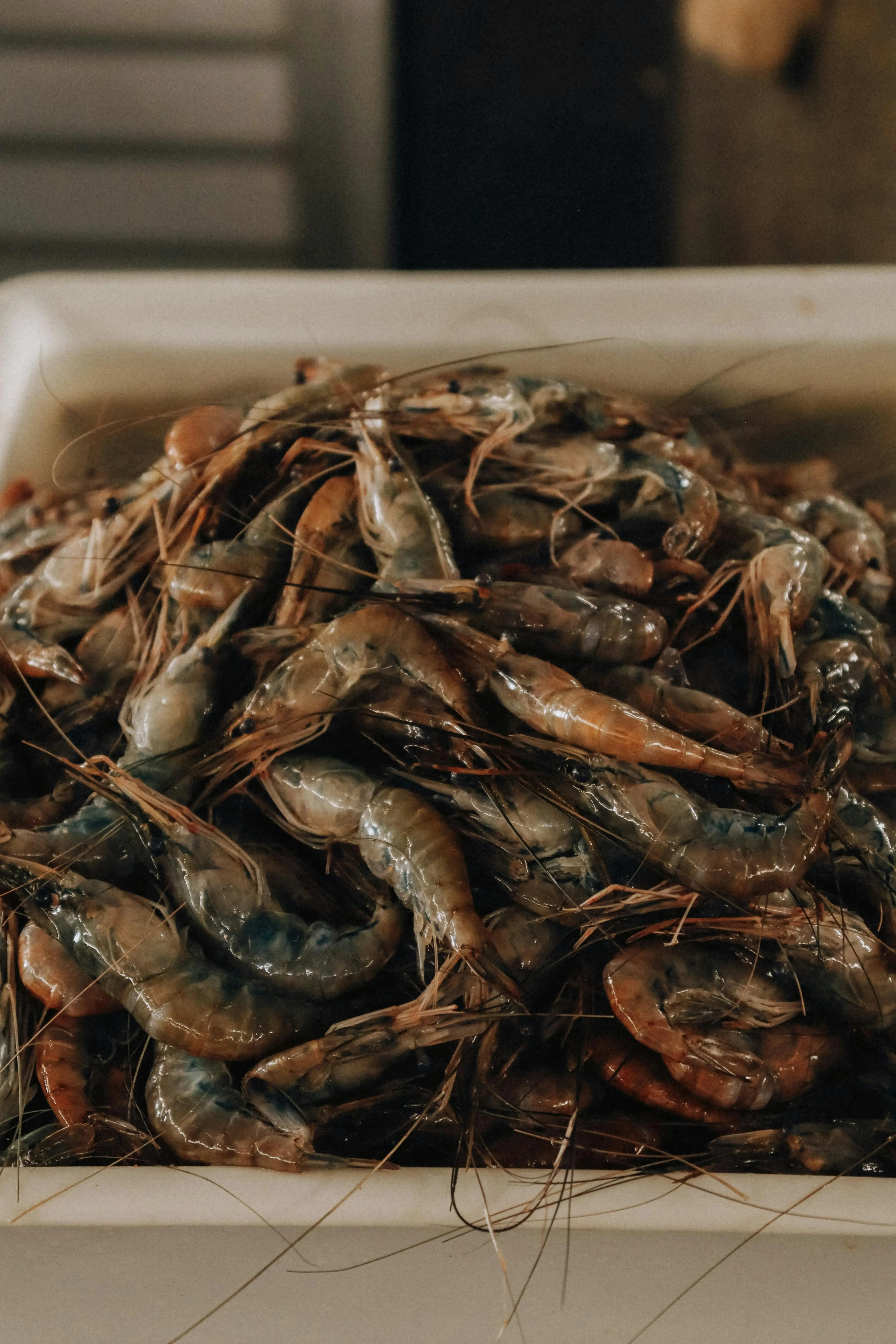 Pecinta Seafood Wajib Tahu, Begini Panduan EPA Terkait Kandungan Merkuri pada Udang