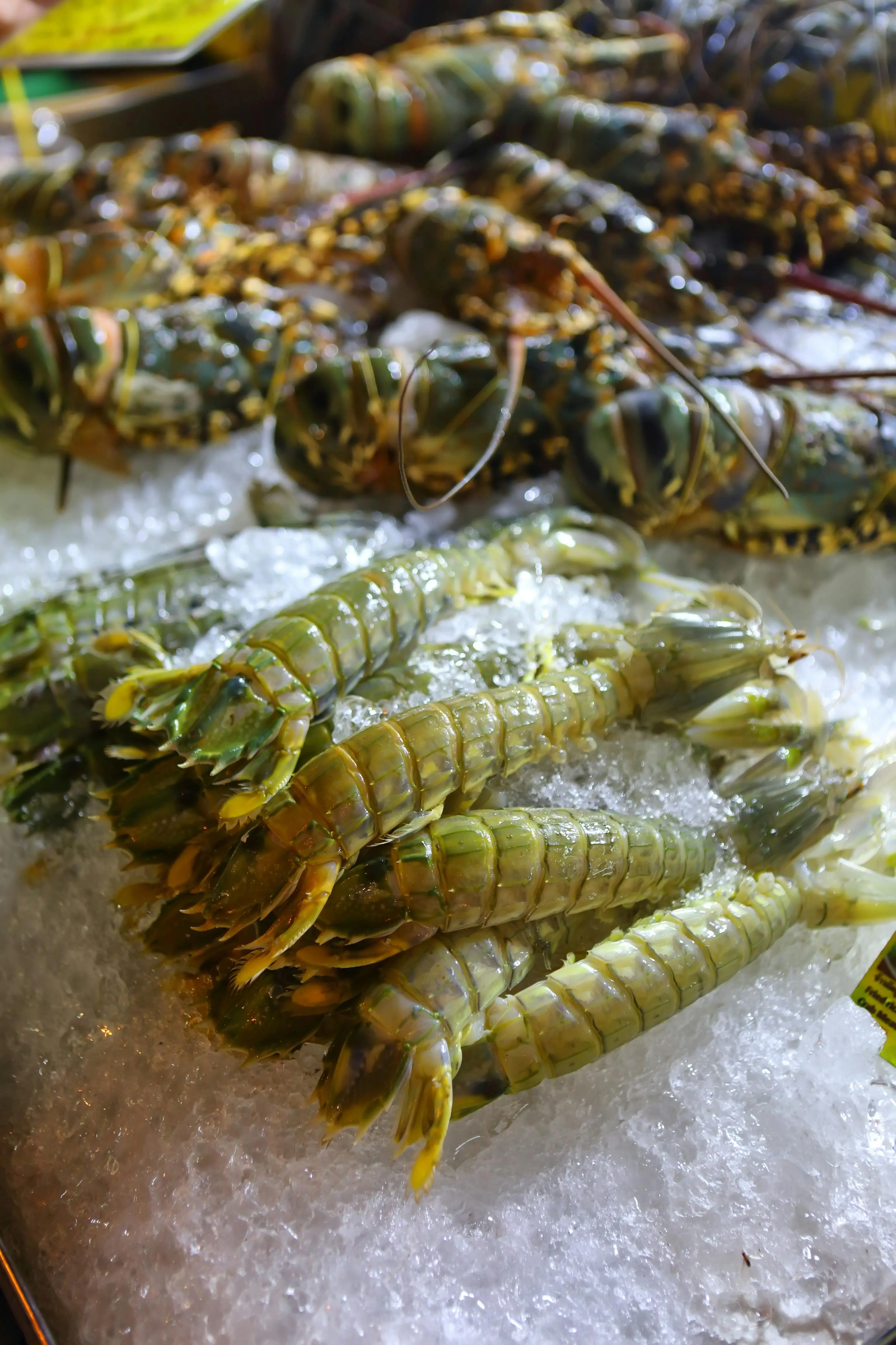 Amankah Ibu Hamil Makan Udang? Simak Panduan Lengkap dari Pakar Kesehatan Berikut Ini
