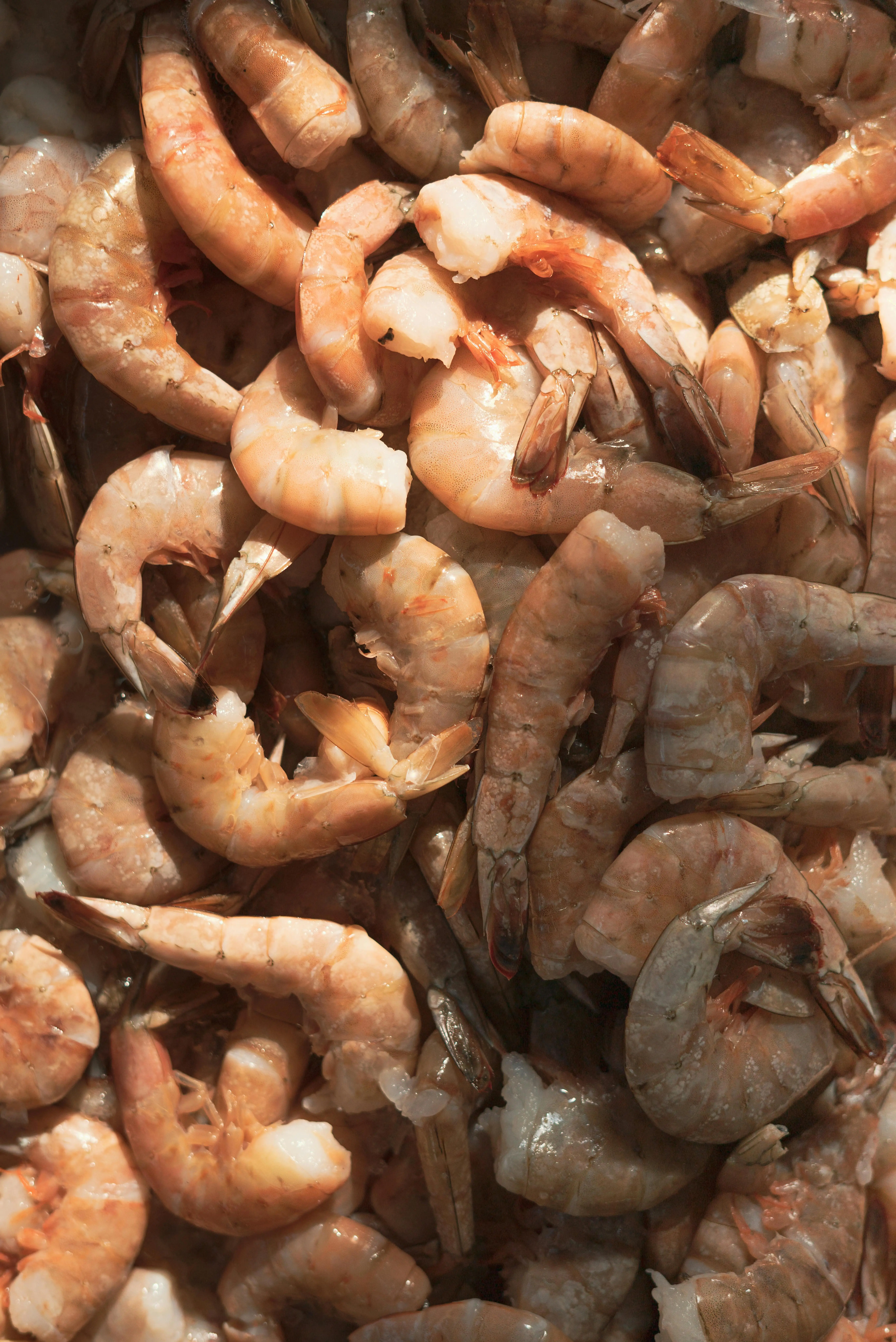 Waspada Efek Samping Makan Udang Berlebihan, Dari Alergi Hingga Risiko Merkuri