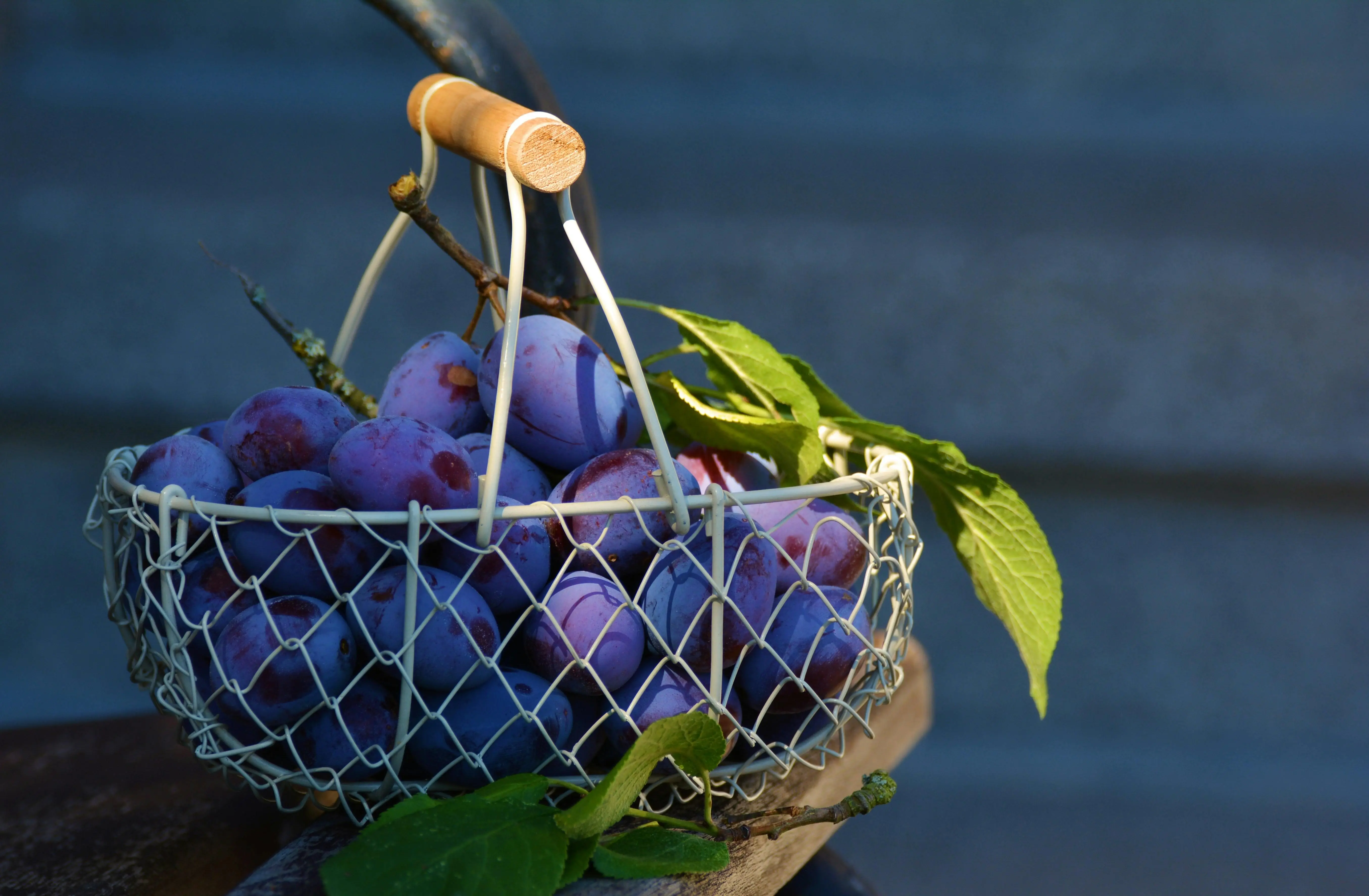 Cegah Obesitas Sejak Dini, Ternyata Buah Anggur Punya Peran Penting bagi Kesehatan Anak