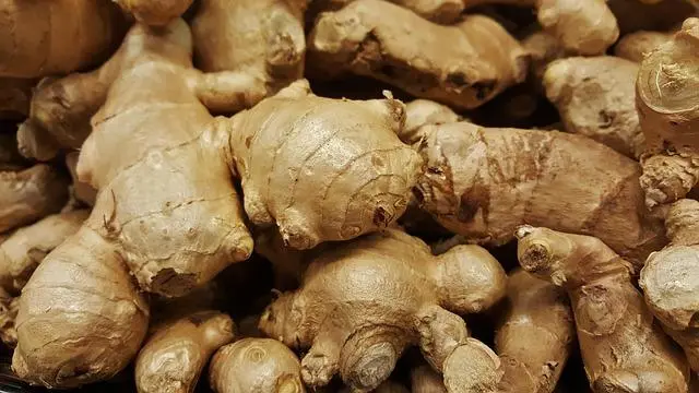 Menguak Keajaiban Kencur: Si Rimpang Kecil dengan Perlindungan Antioksidan Raksasa