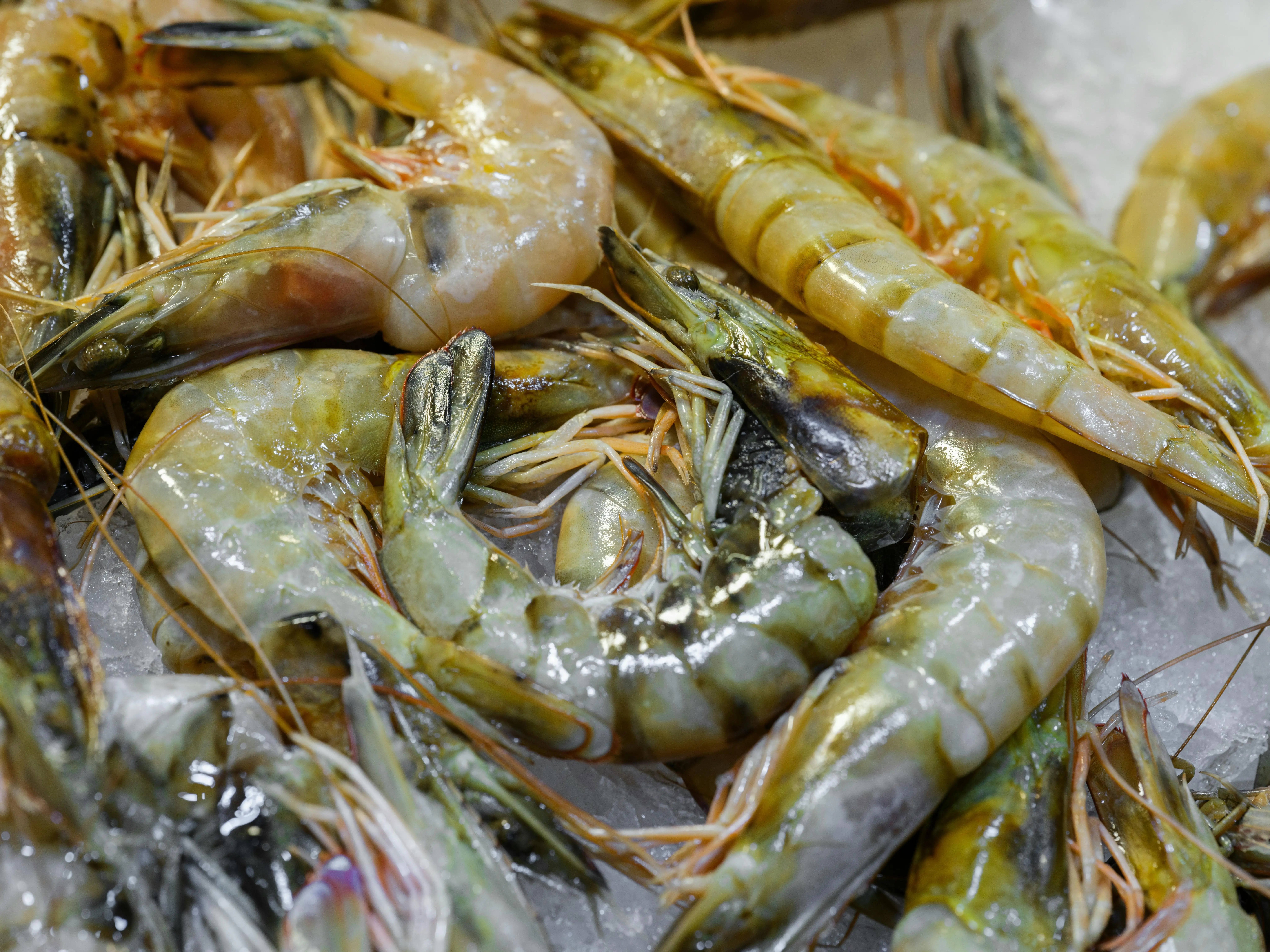 Daftar Nutrisi Udang dan Dampaknya pada Tubuh, Benarkah Tinggi Kolesterol Jahat?