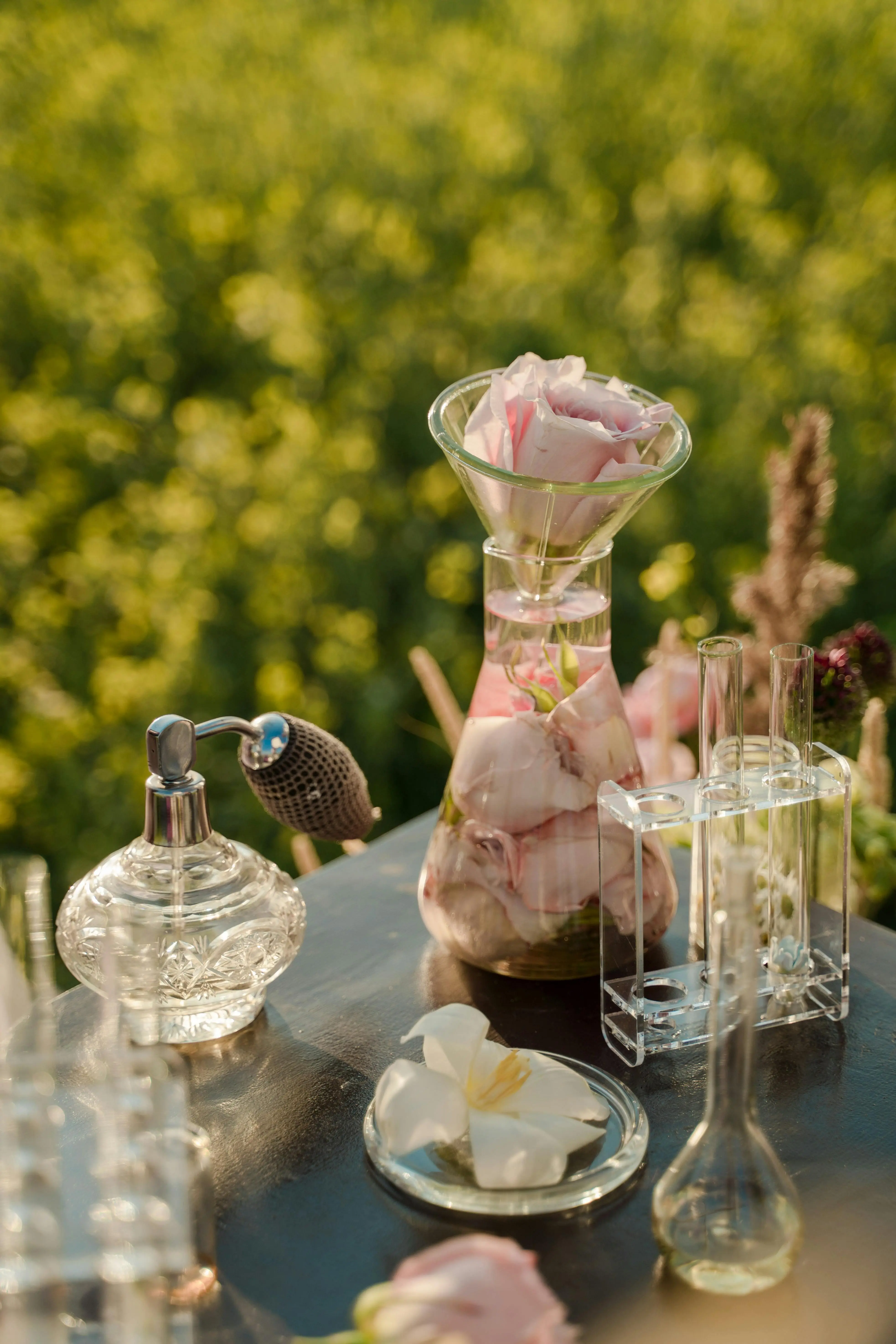 Ratu dari Segala Aroma: Membedah Dominasi Bunga Mawar dalam Industri Parfum Global