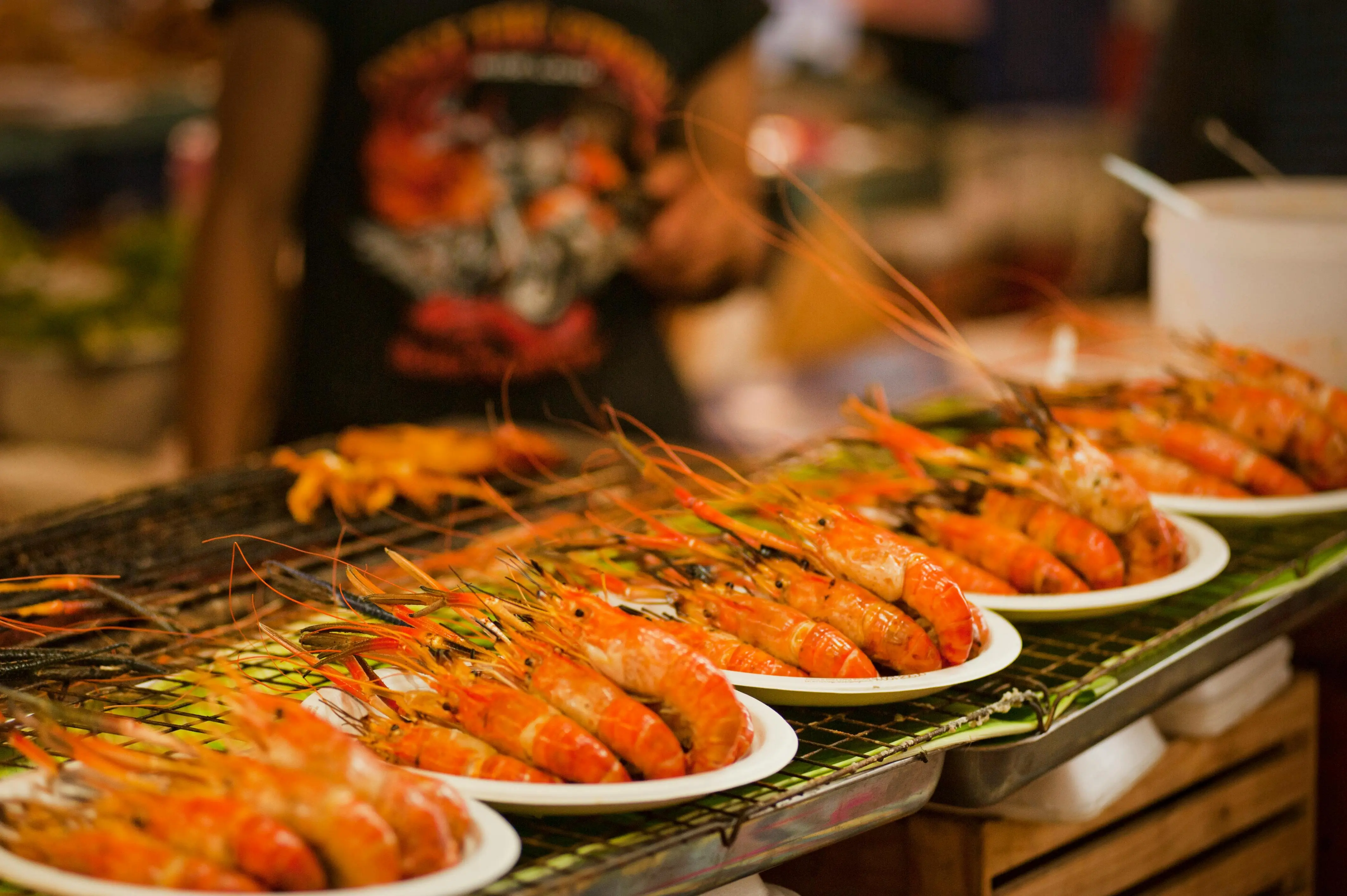 Strategi Pemanfaatan Udang Kecil: Solusi Protein Murah dengan Nilai Ekonomi Tinggi