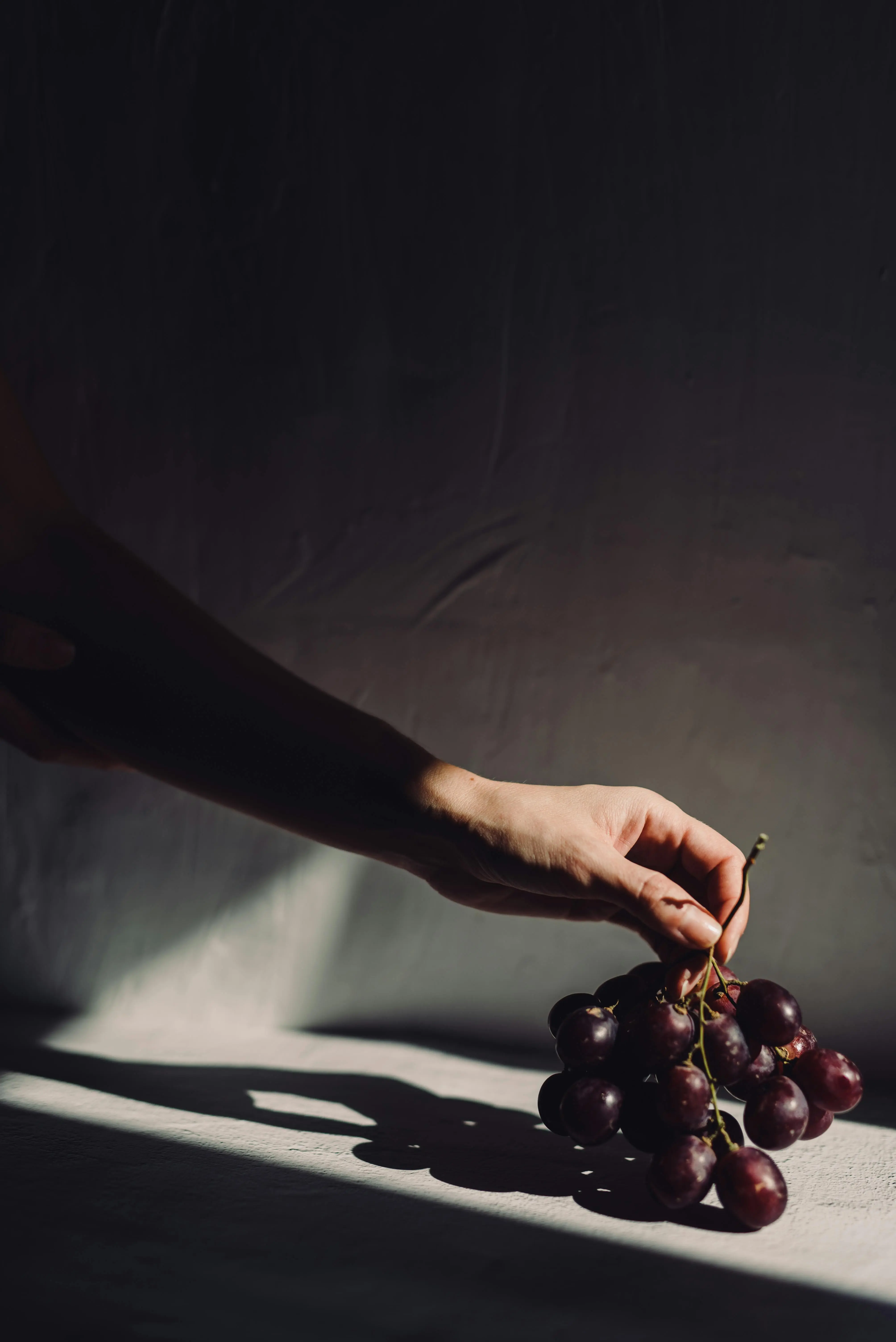 Cara Alami Lawan Penurunan Kognitif, Peneliti Temukan Manfaat Luar Biasa dari Ekstrak Anggur