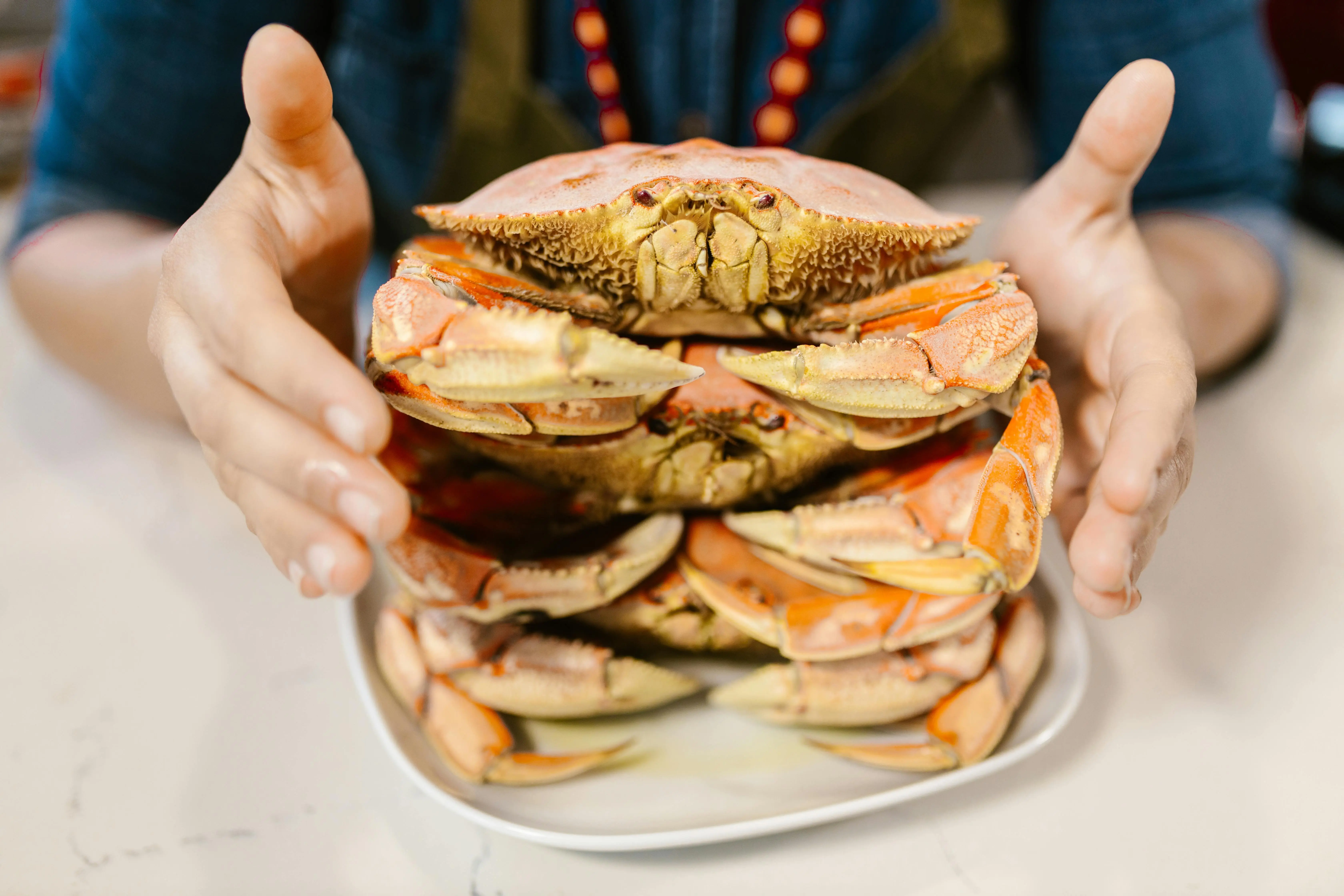 Diplomasi Cangkang Keras: Menelusuri Akar Budaya dan Kelezatan Kepiting dalam Kuliner Asia