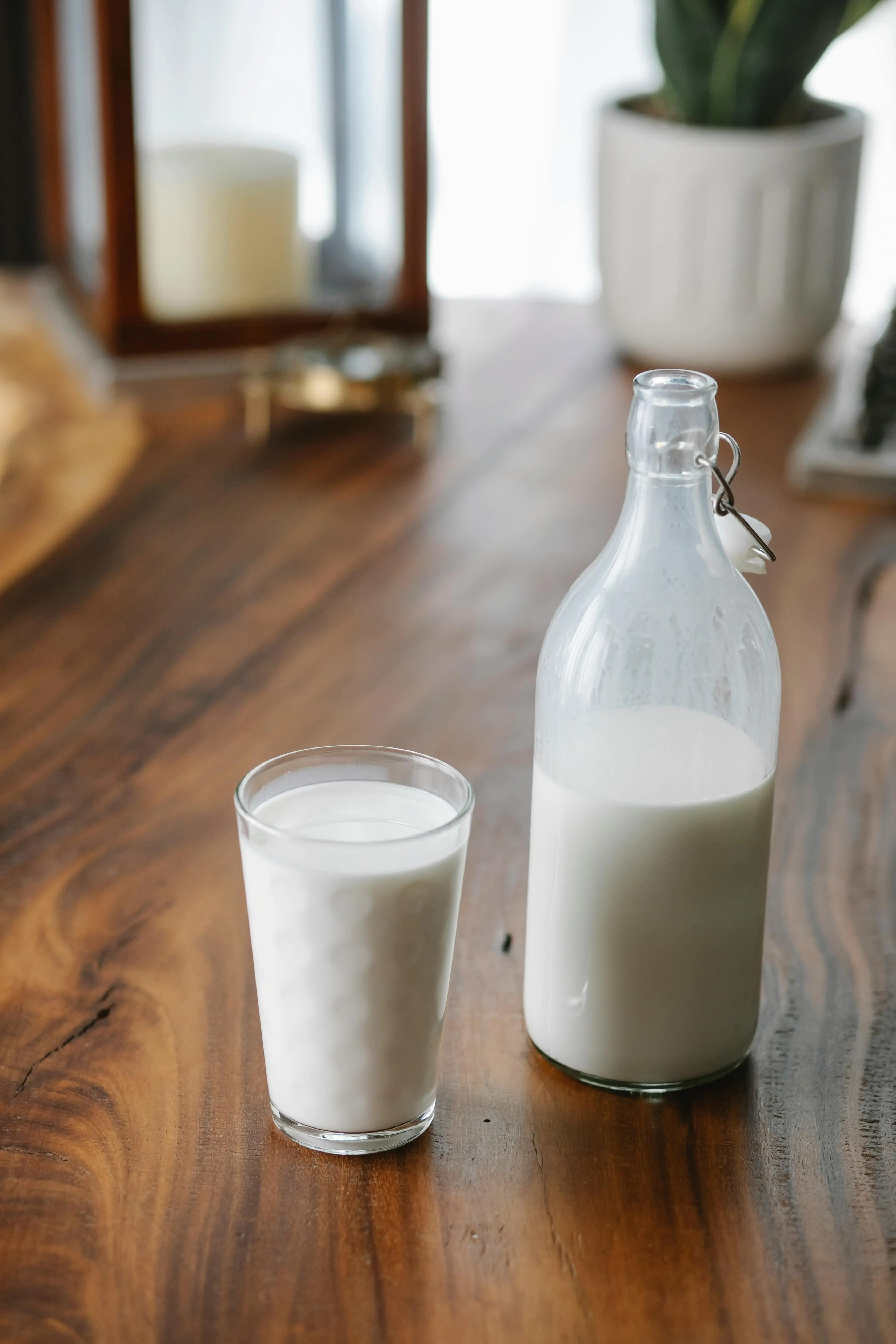 Bukan Sekadar Minuman Sehat, Ini Alasan Ilmiah Protein Susu Wajib Dikonsumsi Setelah Olahraga