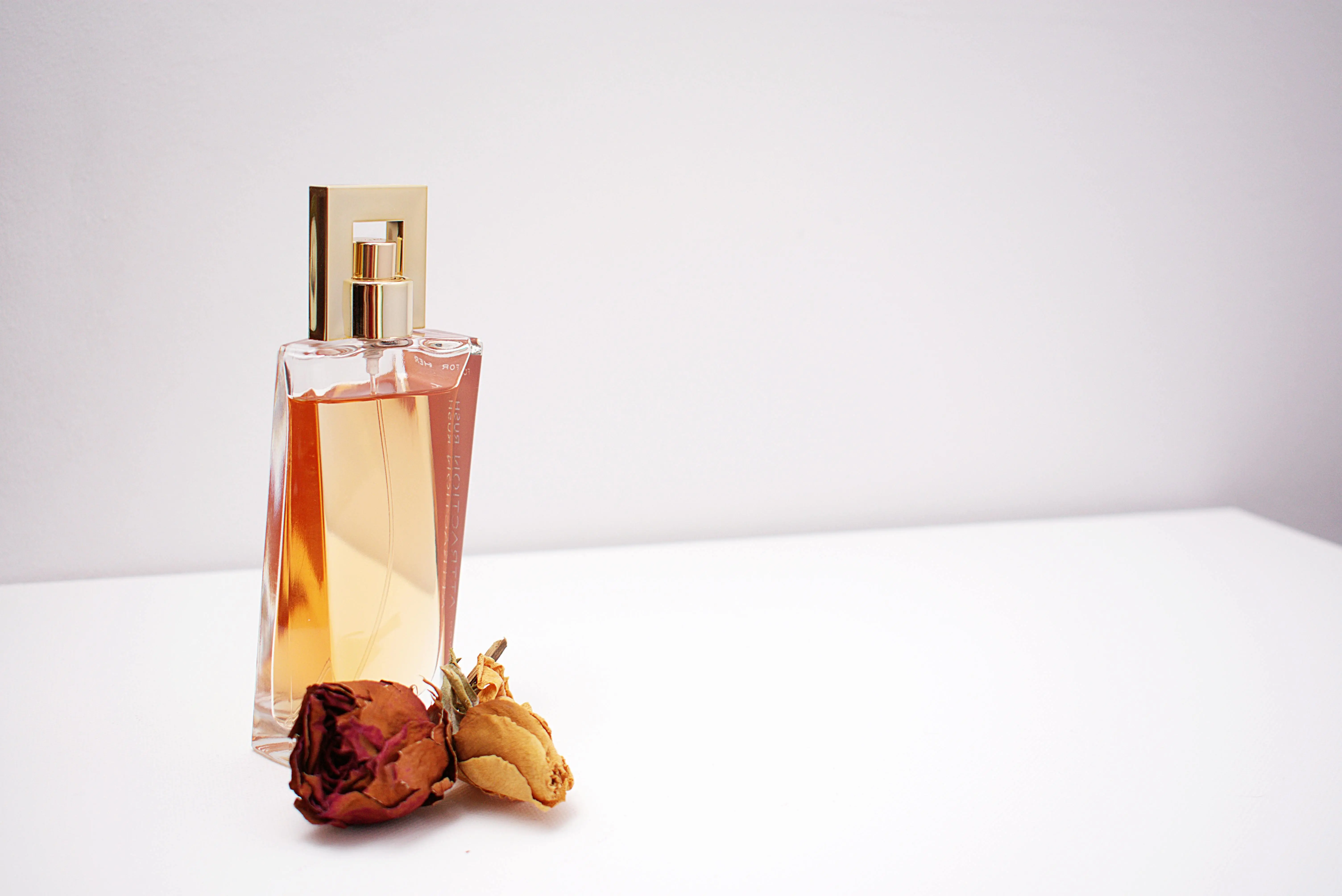 Lebih dari Sekadar Wangi: Menguak Peran Tersembunyi Parfum dalam Psikologi Sosial
