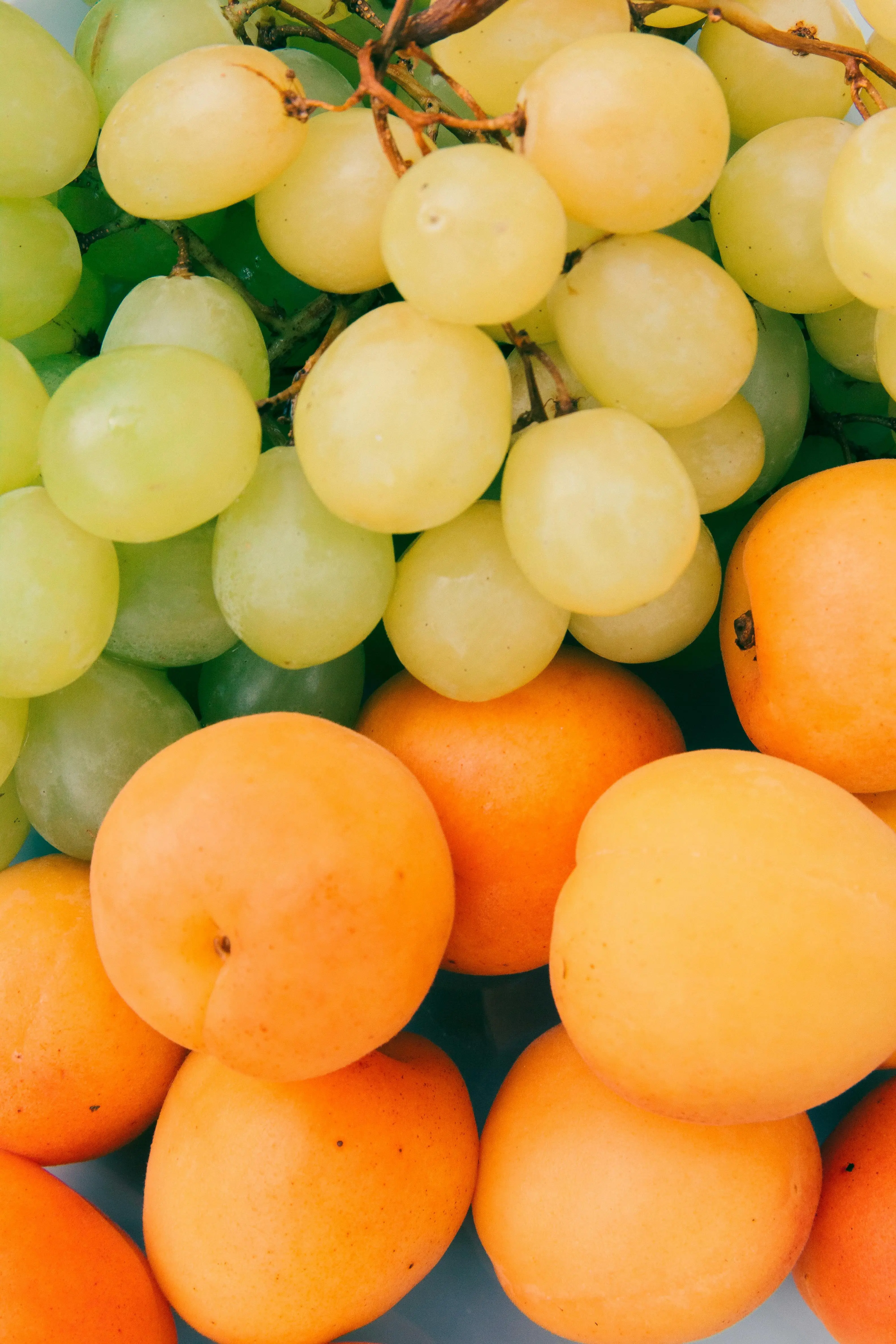 Rahasia di Balik Butiran Anggur: Bagaimana Resveratrol Membantu Mengatasi Stres dan KecemasanRahasia di Balik Butiran Anggur: Bagaimana Resveratrol Membantu Mengatasi Stres dan Kecemasan