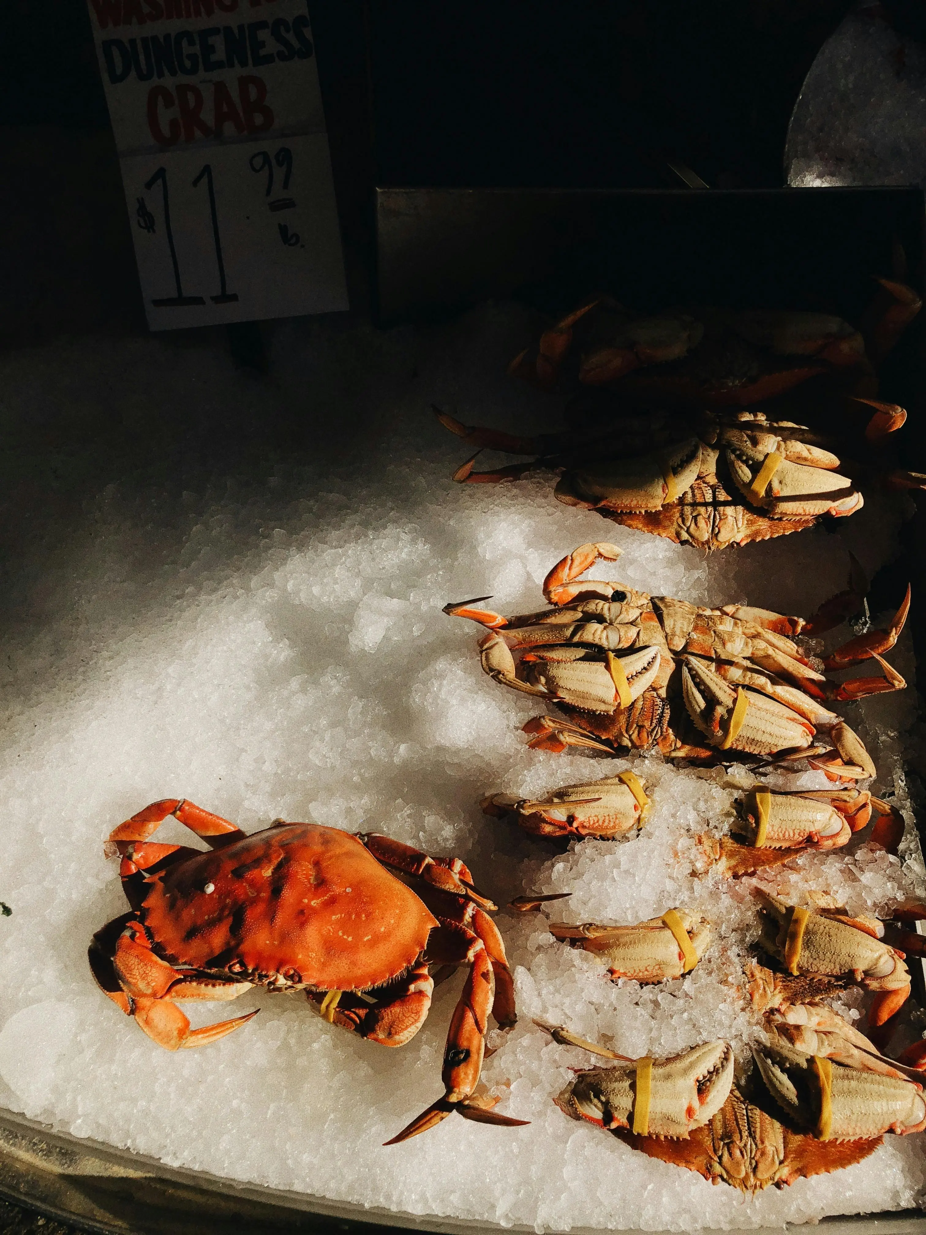 Benarkah Kepiting Mengandung Kolesterol Tinggi? Ini Penjelasan Lengkap Menurut Ahli Kesehatan
