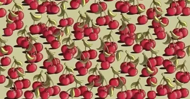 Tes IQ Ilusi Optik: Sebenarnya ada Tomat yang Disembunyikan Diantara Buah Ceri Ini! Ayo Temukan Dalam Waktu 5 Detik