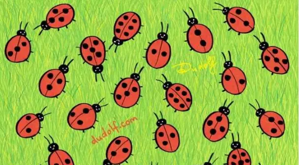 Tes IQ Teka-Teki Gambar: Jika Teliti, Sebenarnya Ada Kumbang yang Berbeda! Bisakah Kamu Temukan dalam 5 Detik