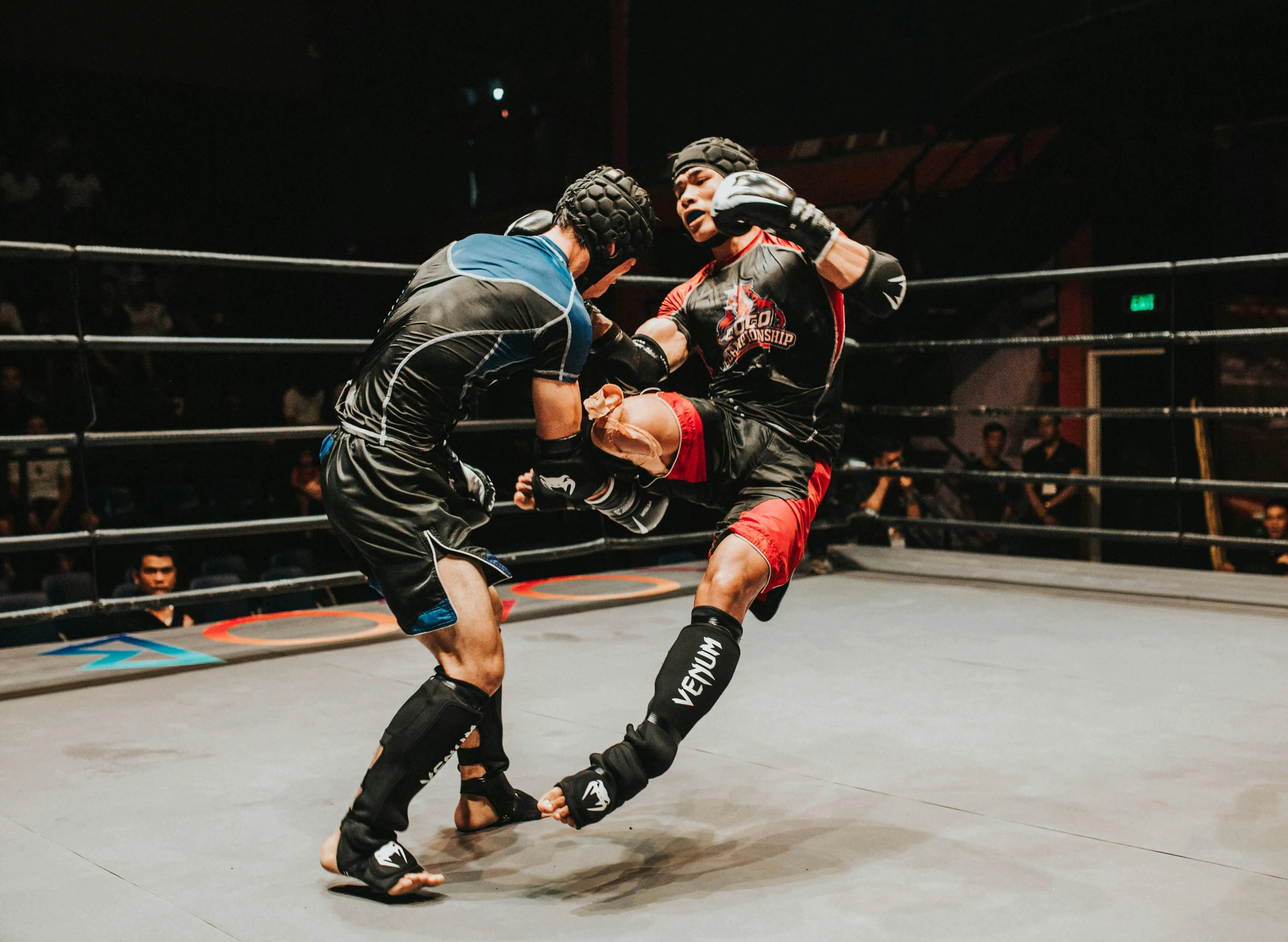 Bukan Sekadar Pukul dan Tendang, Inilah Filosofi Bertarung ala European Kickboxing Federation