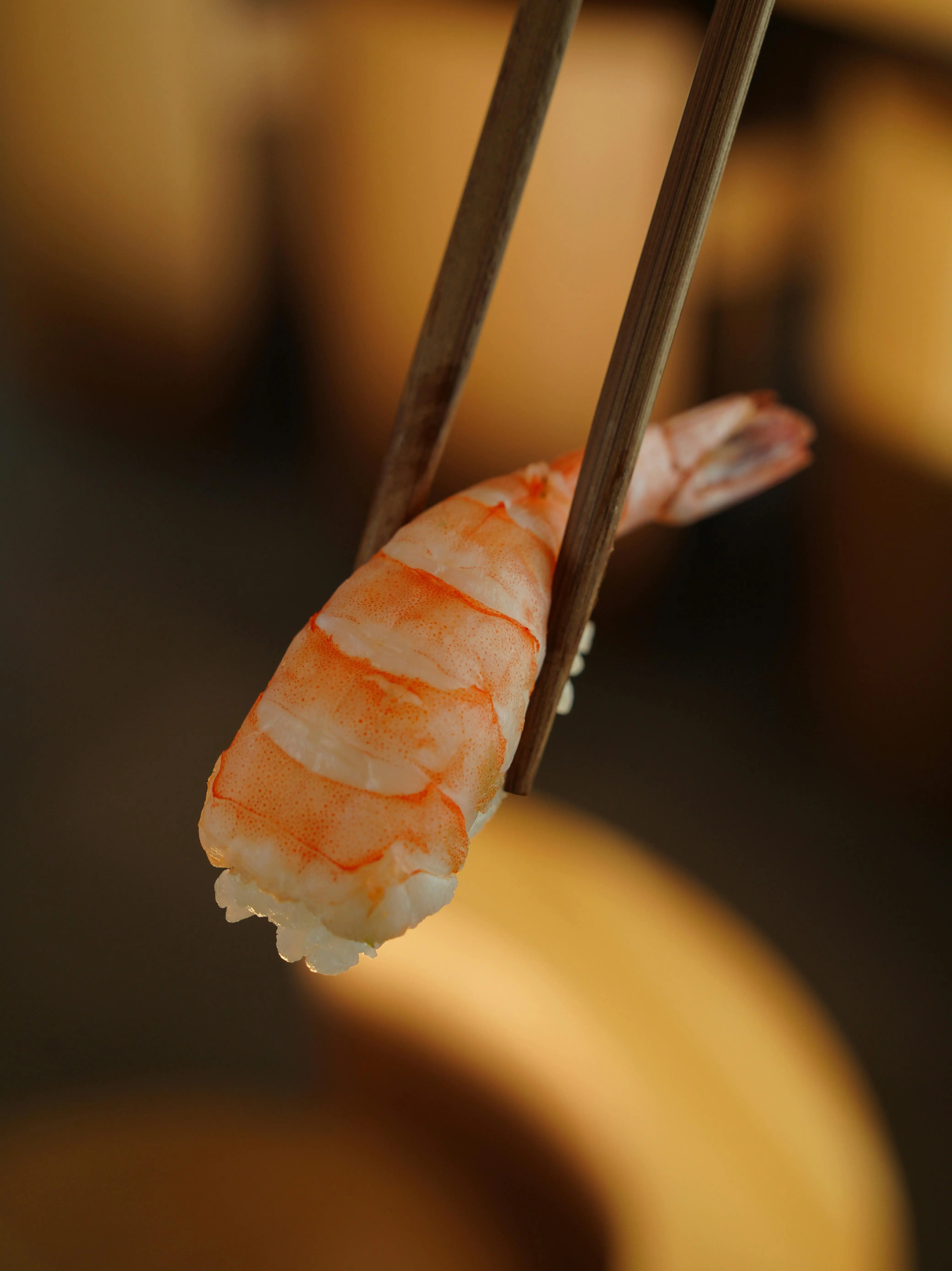 Kandungan Astaxanthin dalam Udang: Rahasia Tersembunyi untuk Melindungi Penglihatan Anda