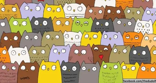 Teka-Teki Gambar: Burung Hantu Menyembunyikan Anak Kucing, Tolong Bantu Menemukannya Dalam 5 Detik
