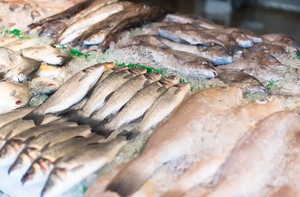 Panel Harga Bapanas: Pergerakan Harga Ikan Nasional Turun, Konsumen Tetap Dapat Harga Terjangkau
