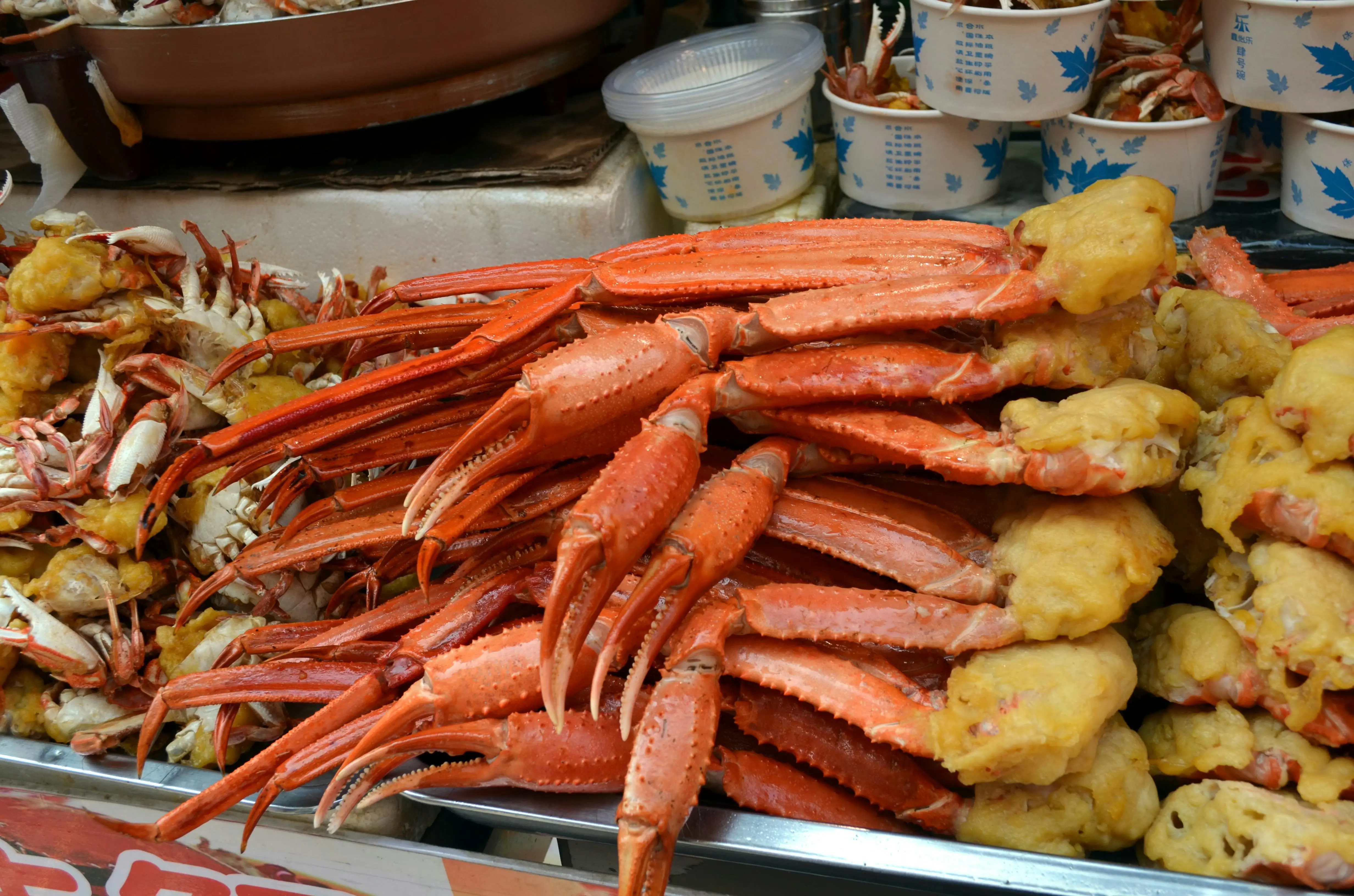 Fakta Mengejutkan King Crab Alaska: Dari Migrasi Misterius Hingga Perjuangan Melawan Perubahan Iklim