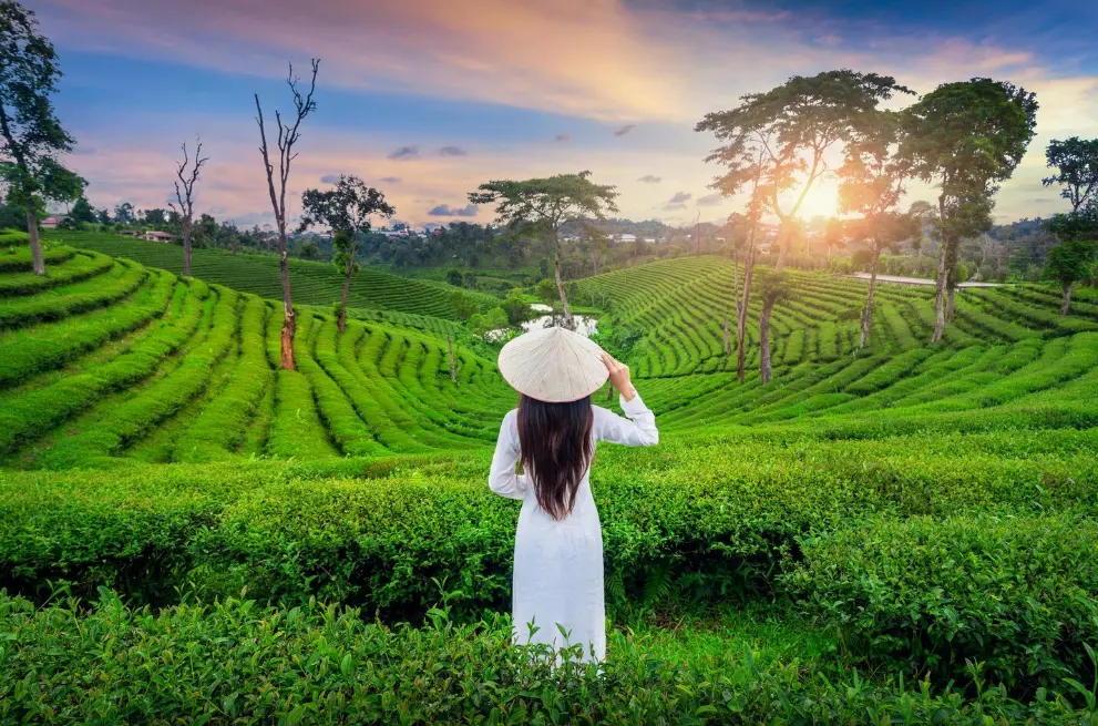 Rekomendasi Daerah di Jawa Barat yang Cocok untuk Wisata Alam