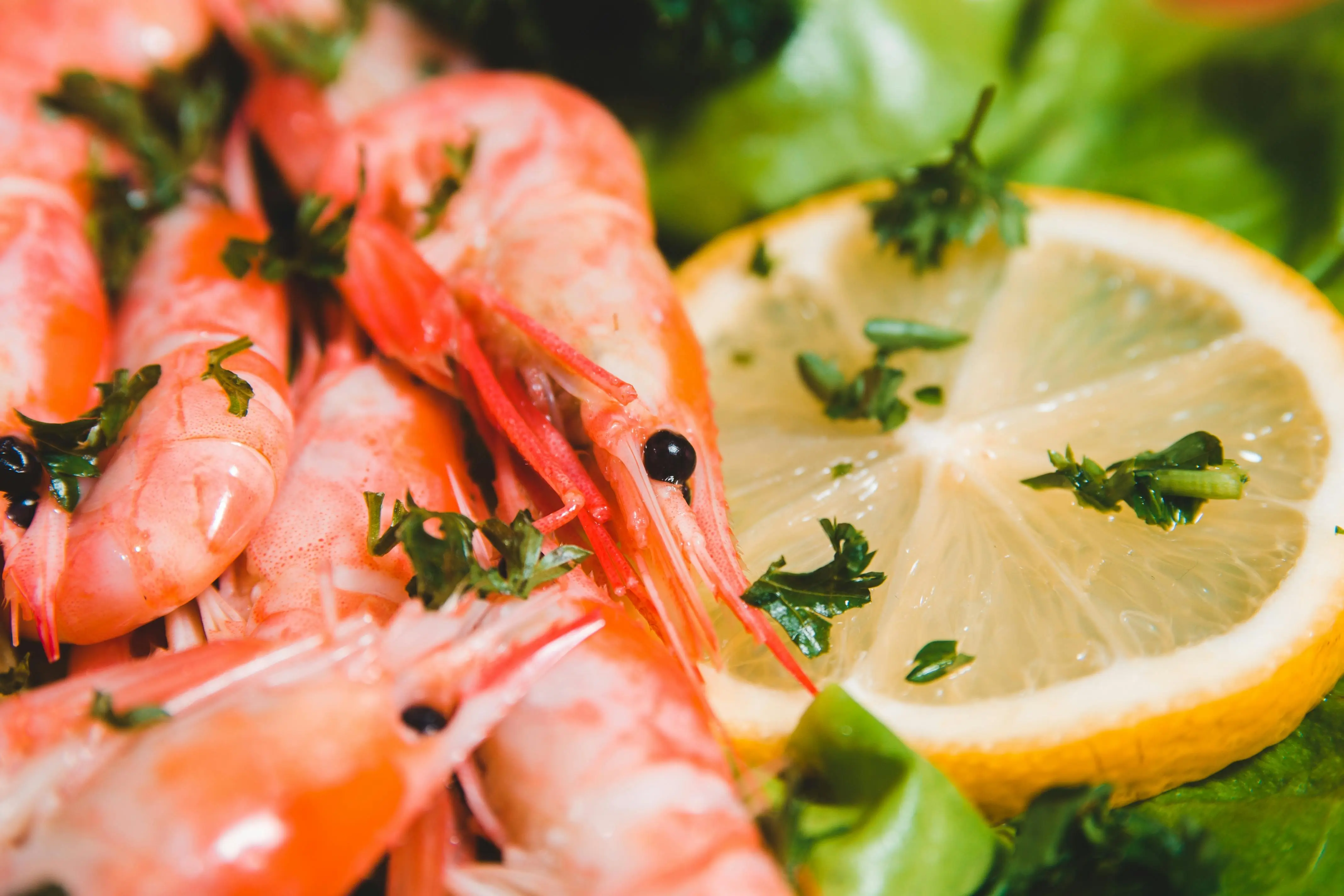 Mengenal Manfaat Udang Sebagai Sumber Mineral Esensial