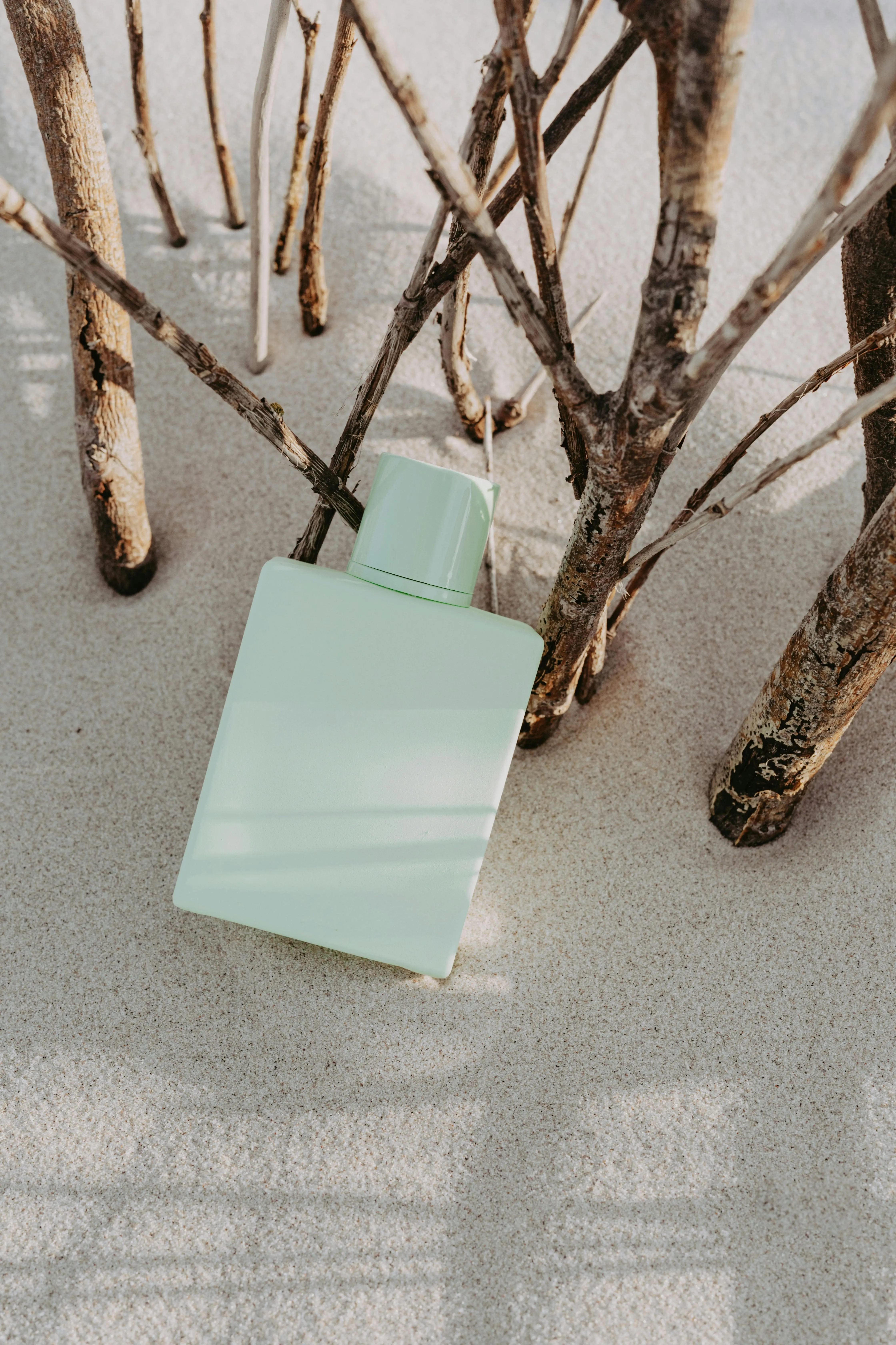 Bukan Sekadar Bau Hutan, Ini Alasan Aroma Woody Selalu Dominasi Tren Parfum Pria