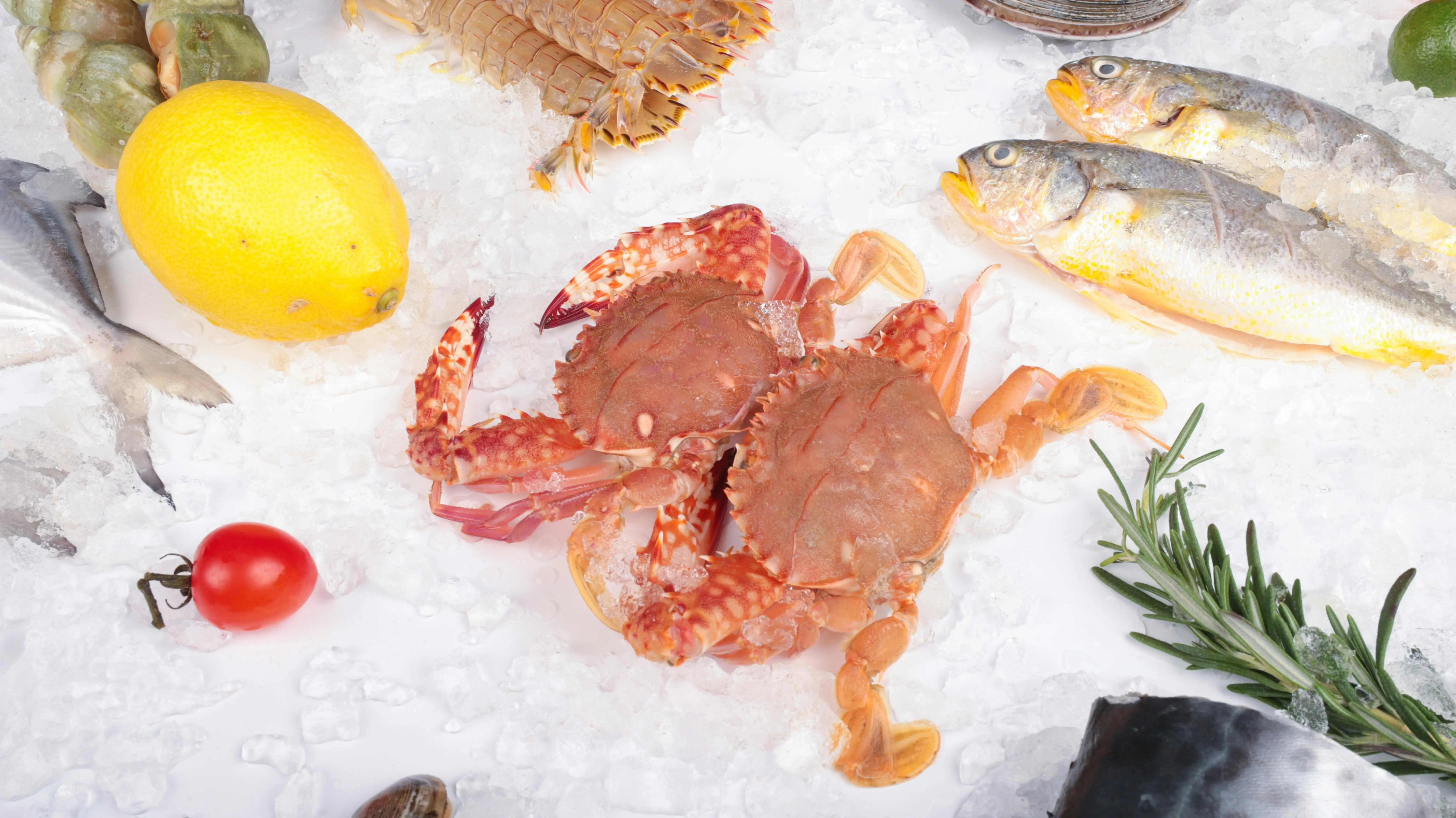 Dilema Makan Kepiting Saat Diet, Benarkah Ampuh Menurunkan Berat Badan?